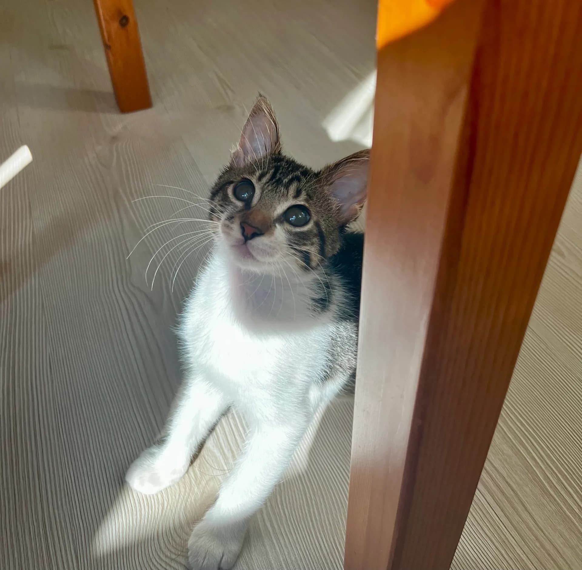Garu fotoğraf 1