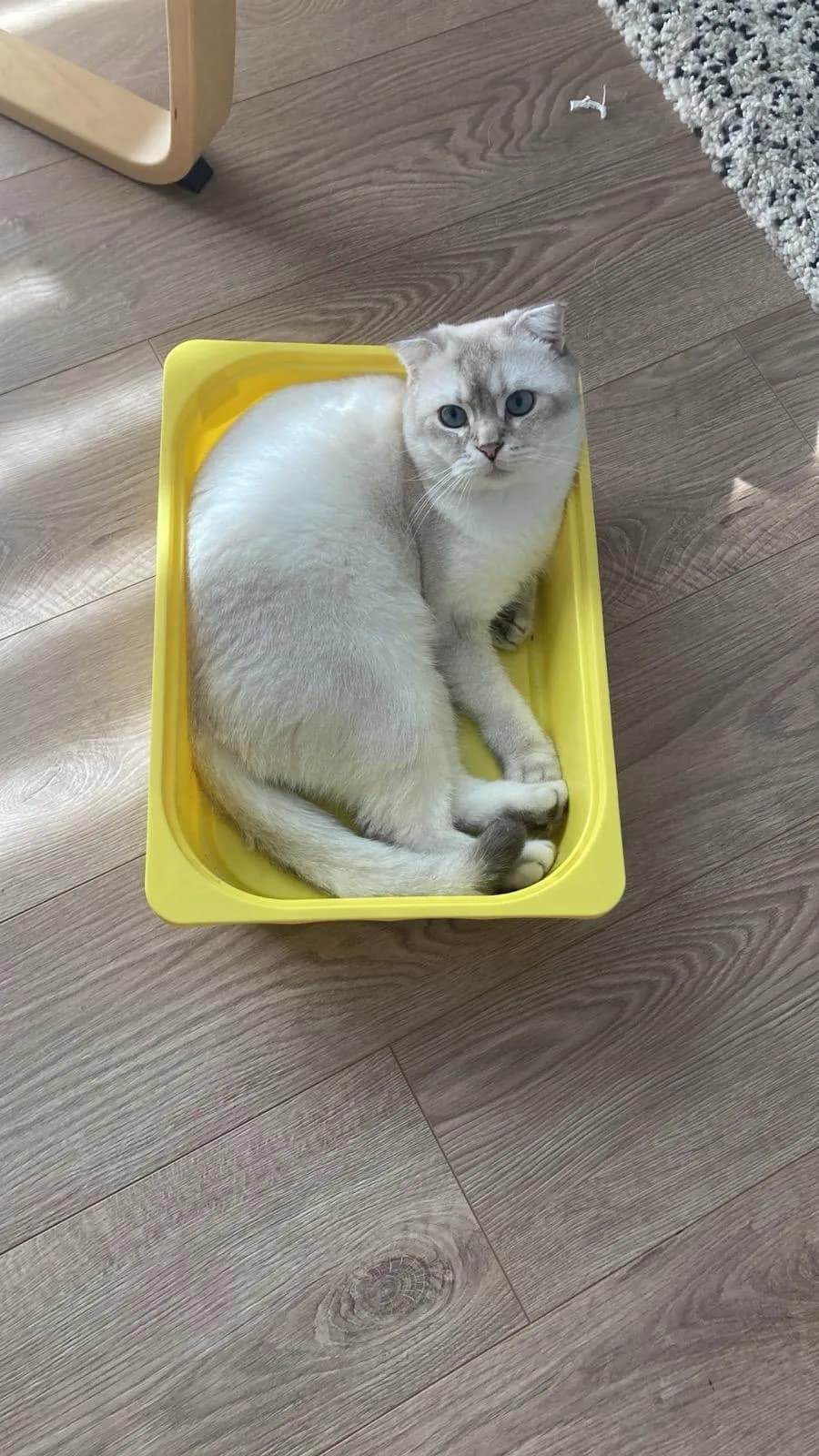 Badem fotoğraf 3