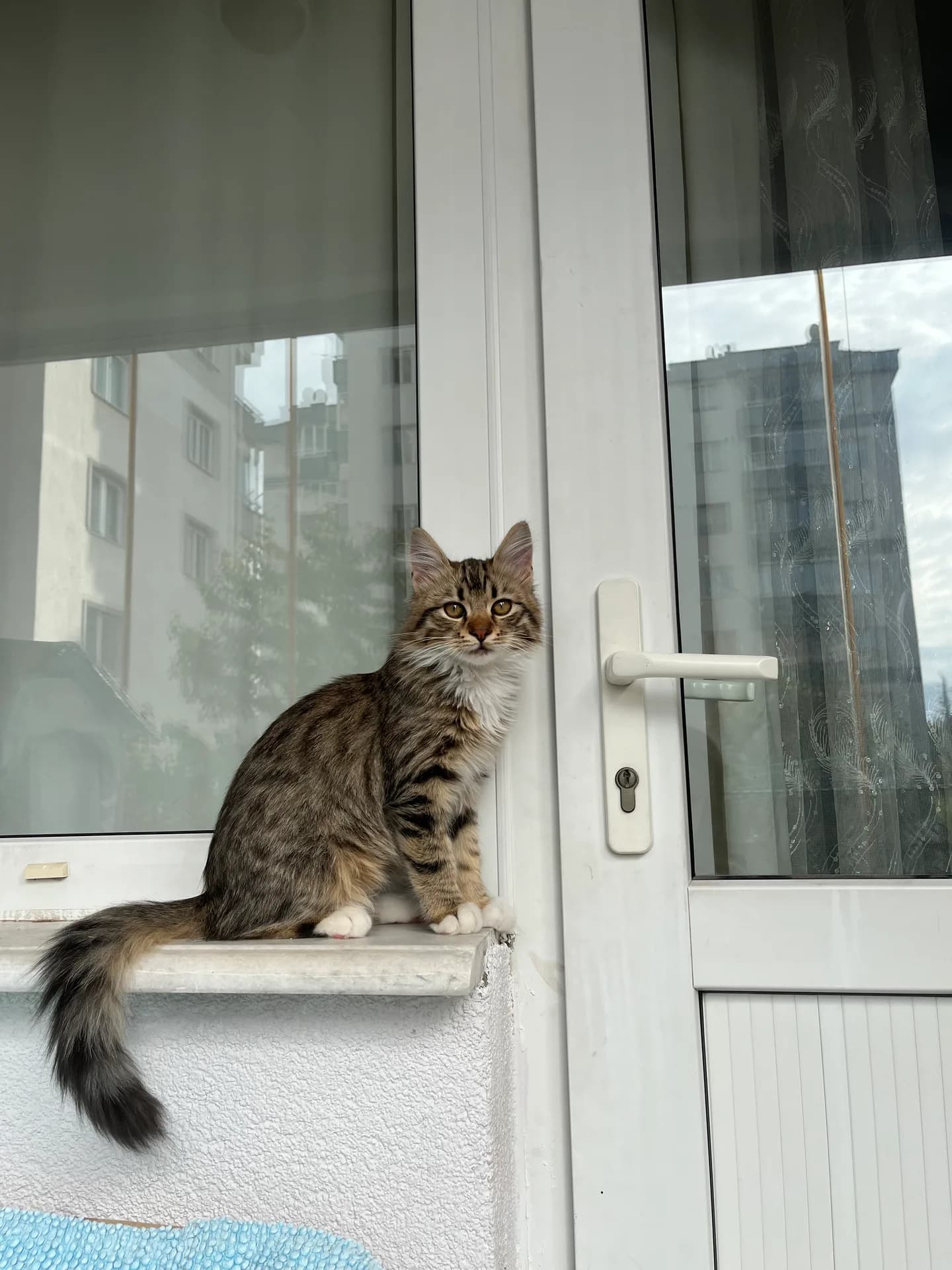 Badem fotoğraf 3