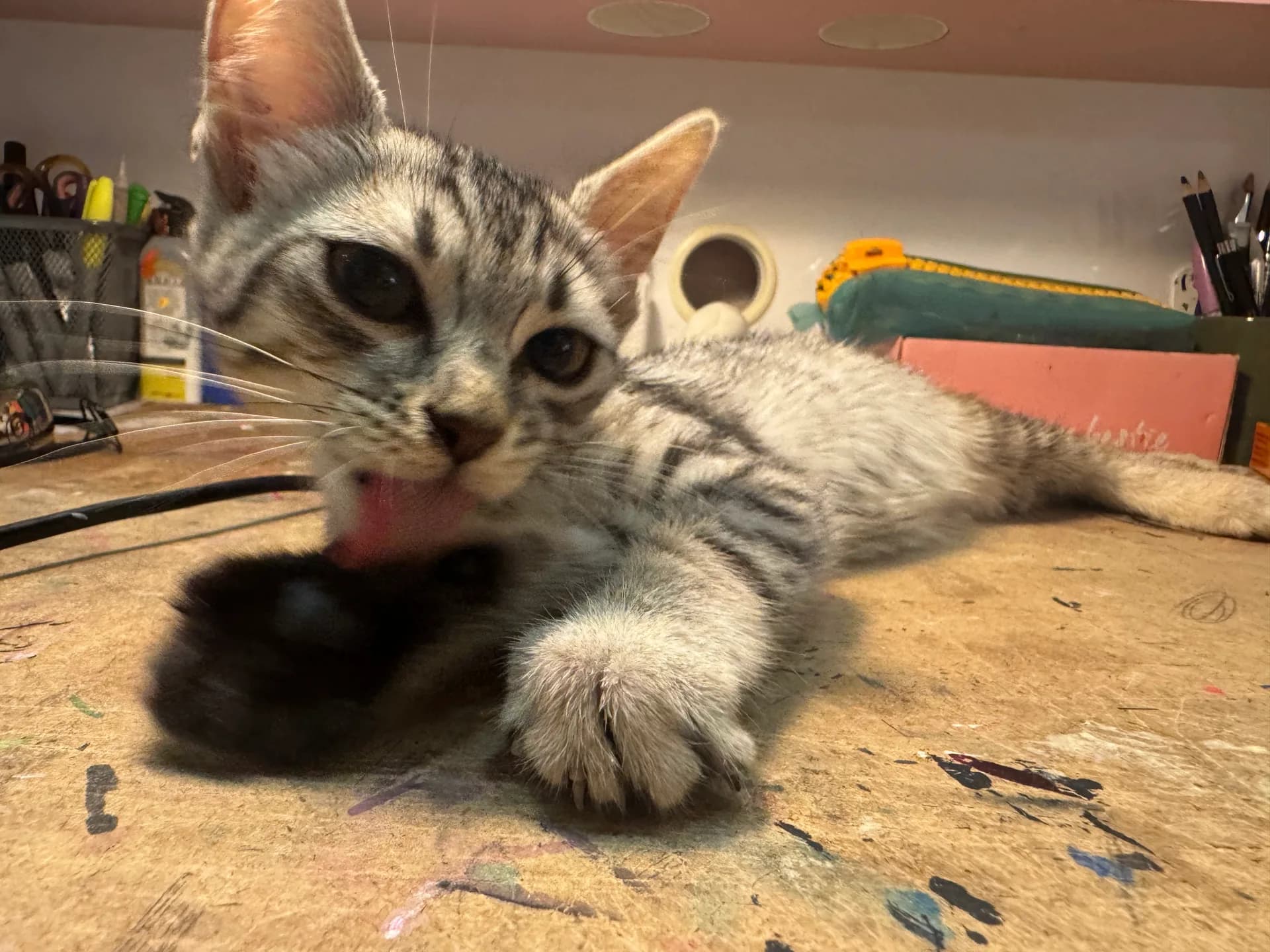 Lilya fotoğraf 3