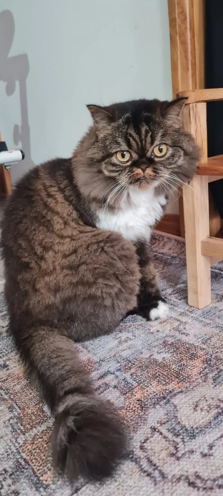 Boncuk fotoğraf 1