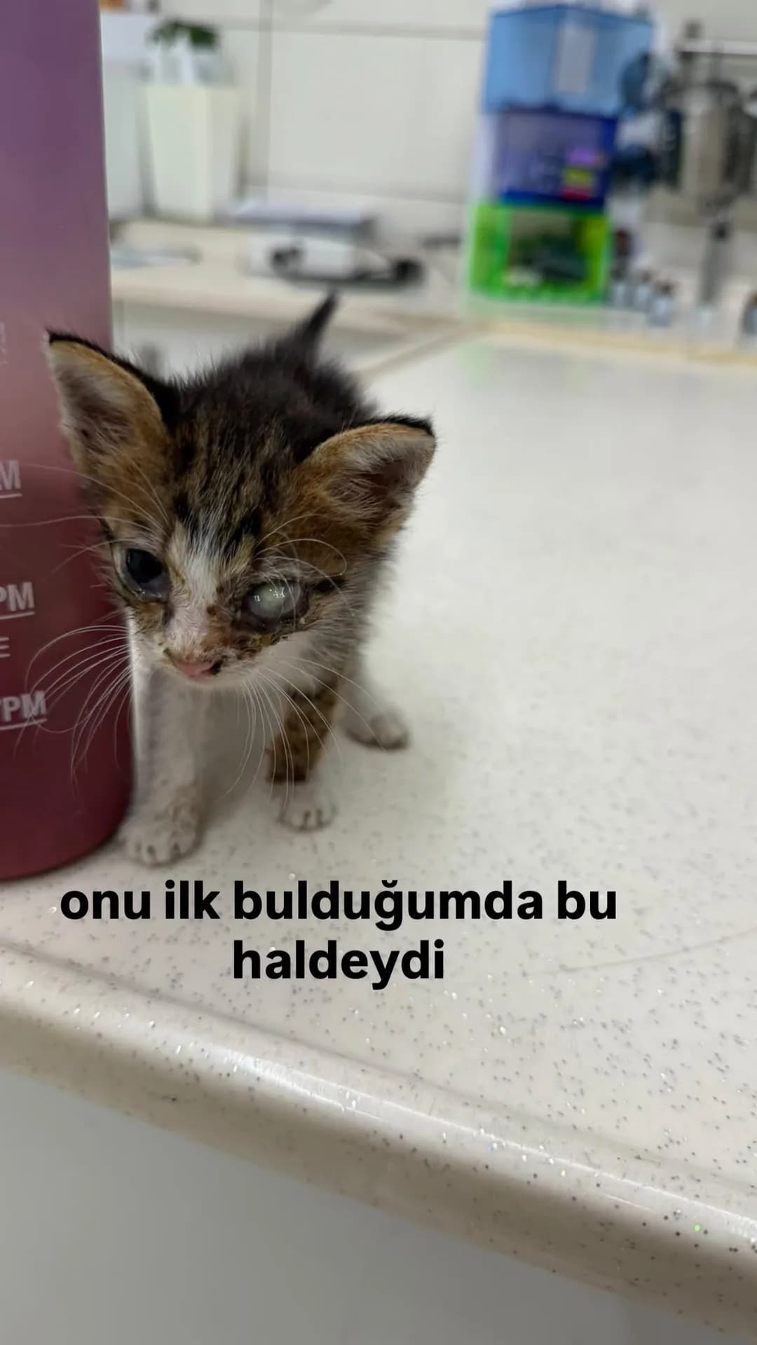 Korsan fotoğraf 3