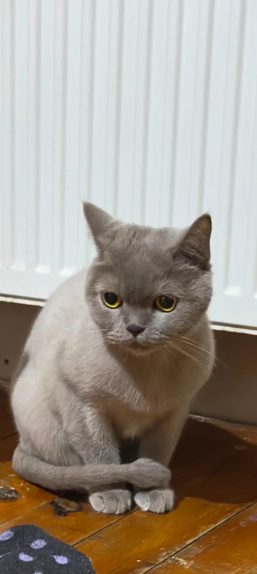 YUMAK fotoğraf 2