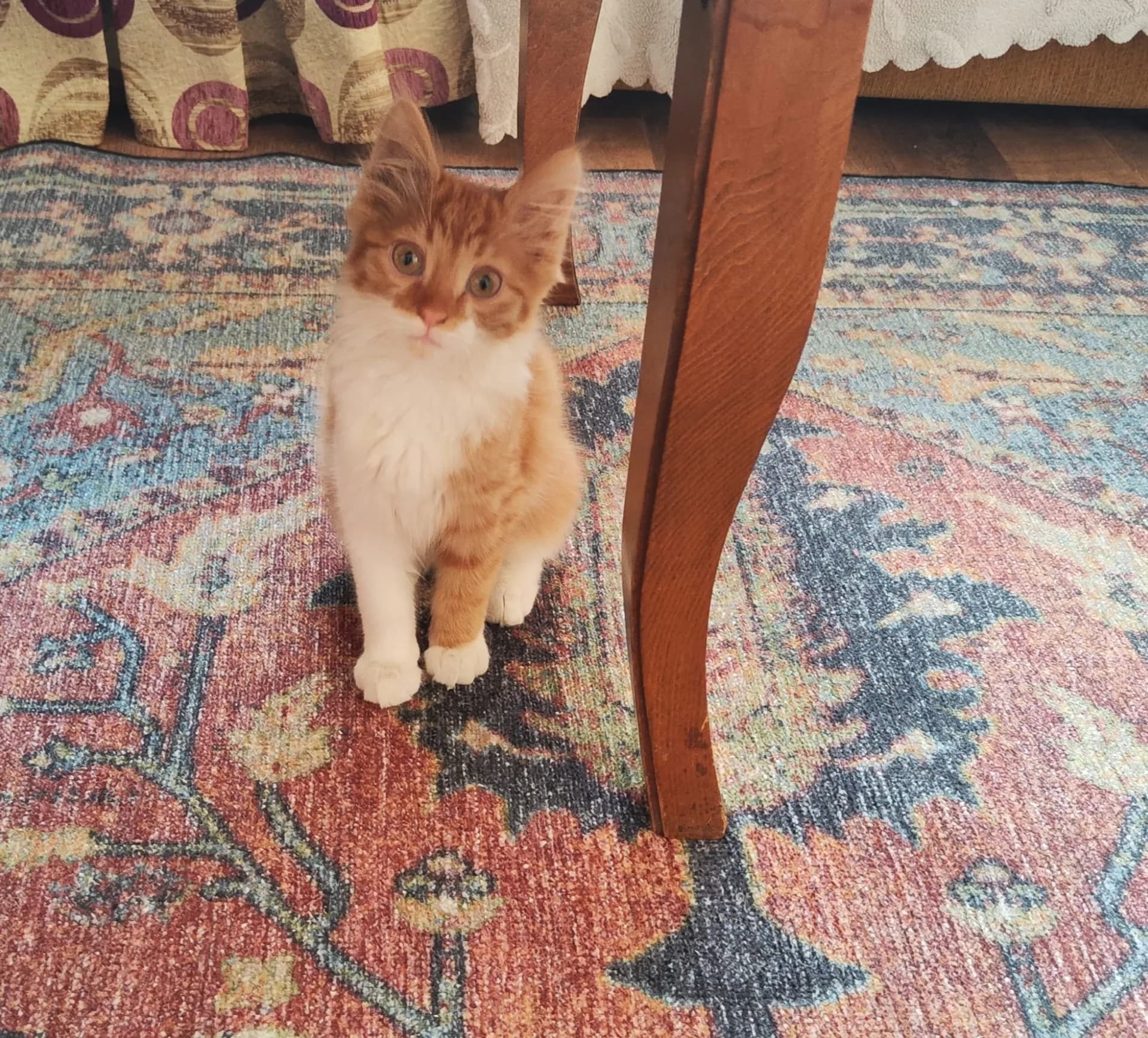 ŞEKER fotoğraf 2