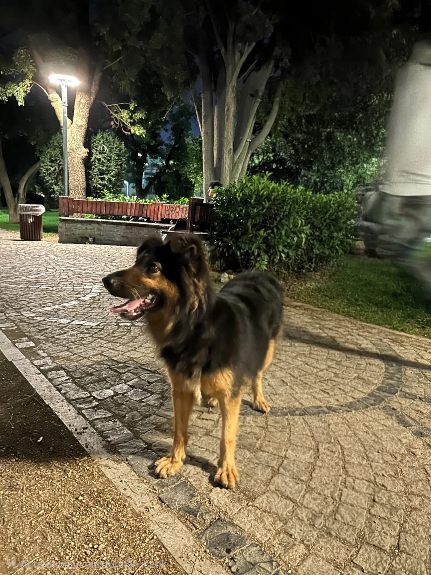 BADEM fotoğraf 2