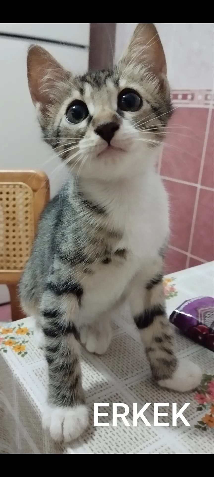 İsimsiz fotoğraf 1