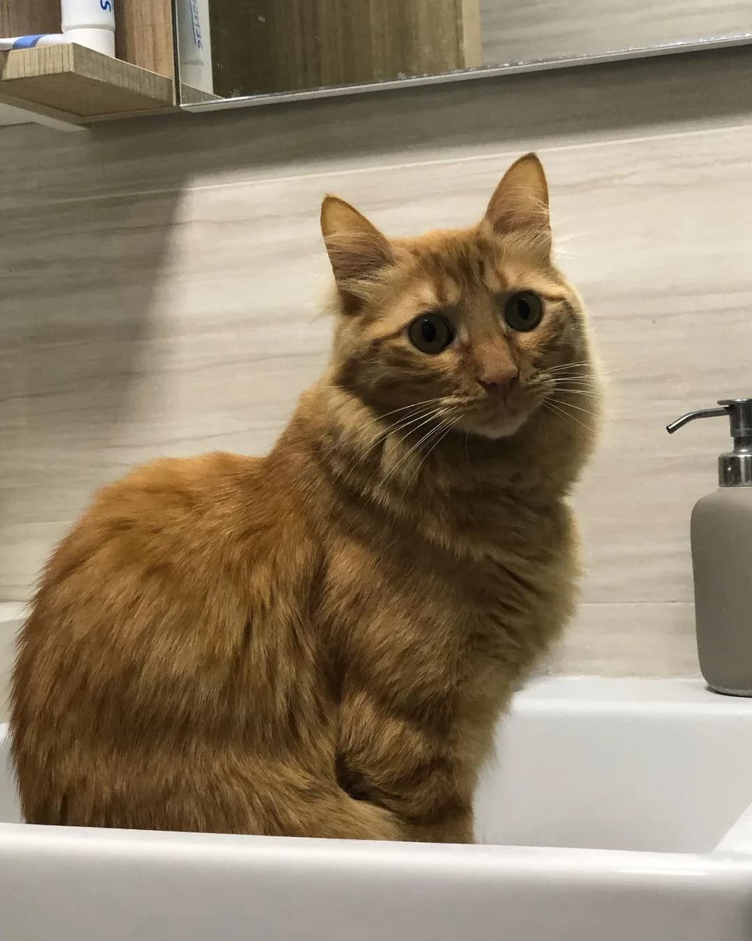 Ron
