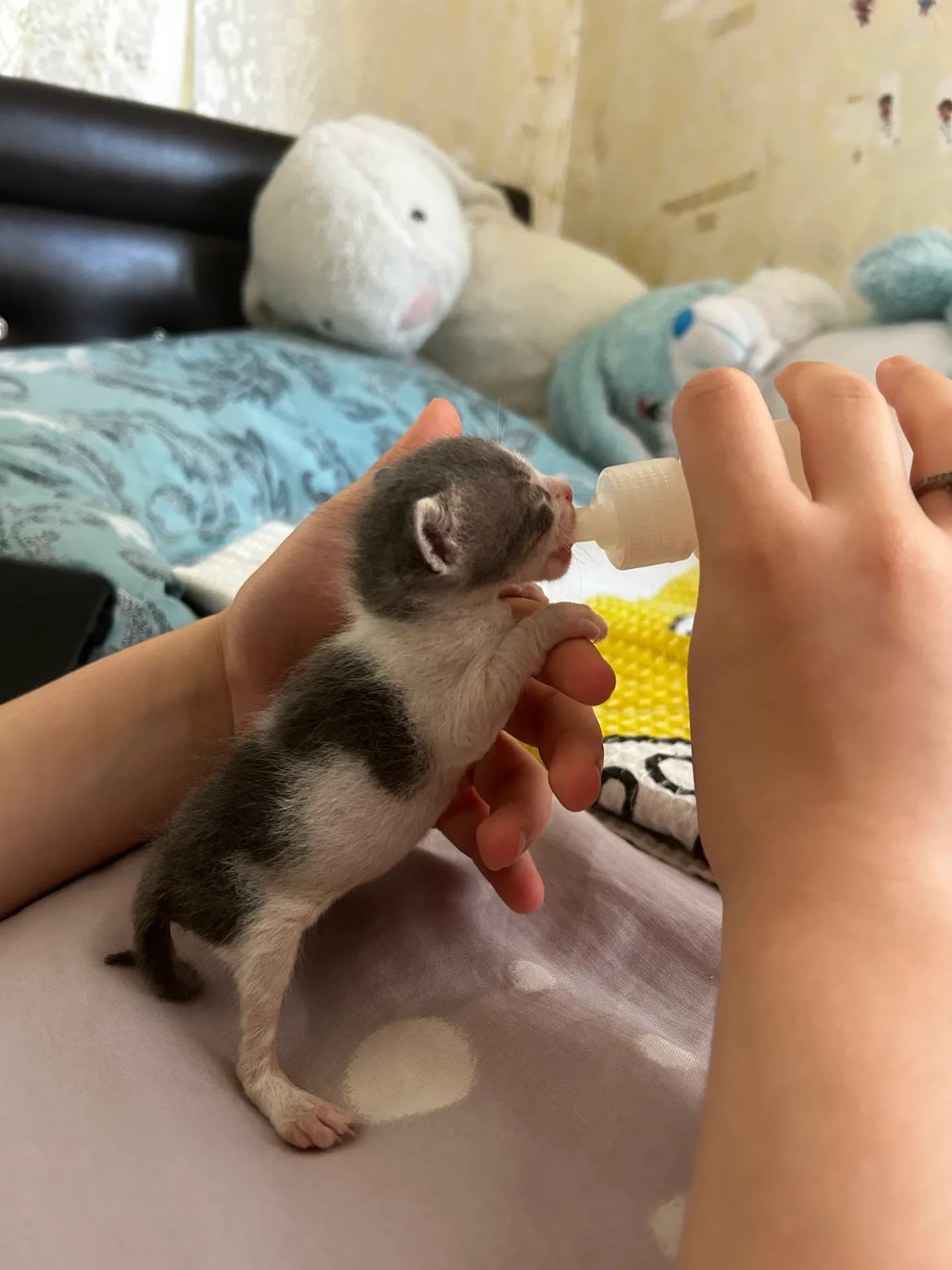 Küllü