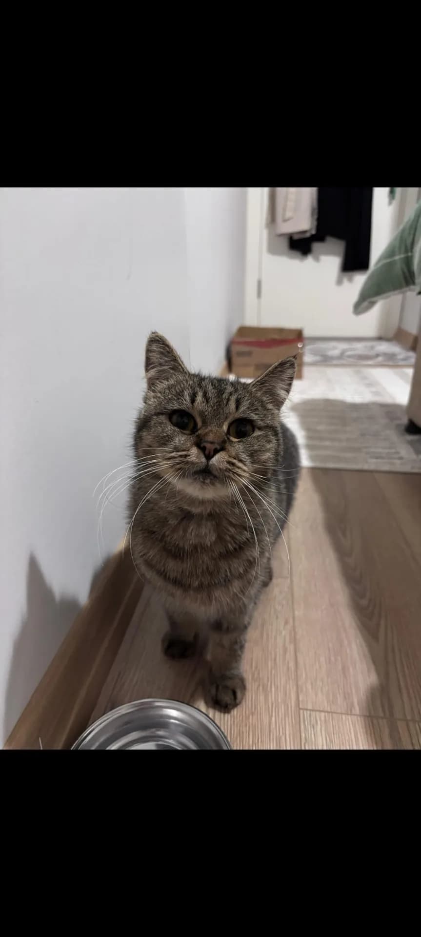 Katmer