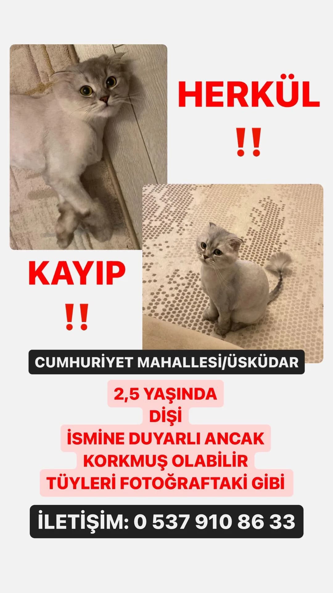 HERKÜL
