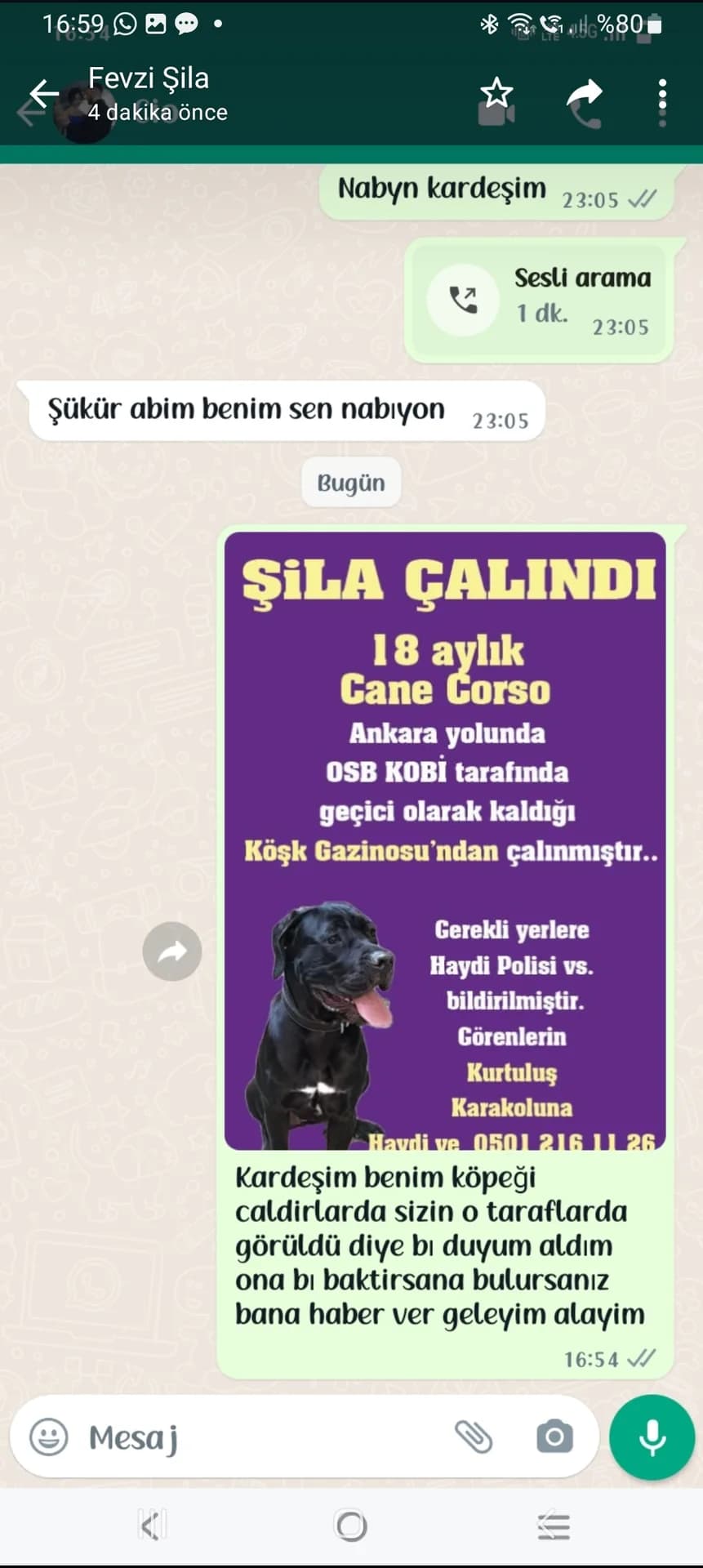 Şils