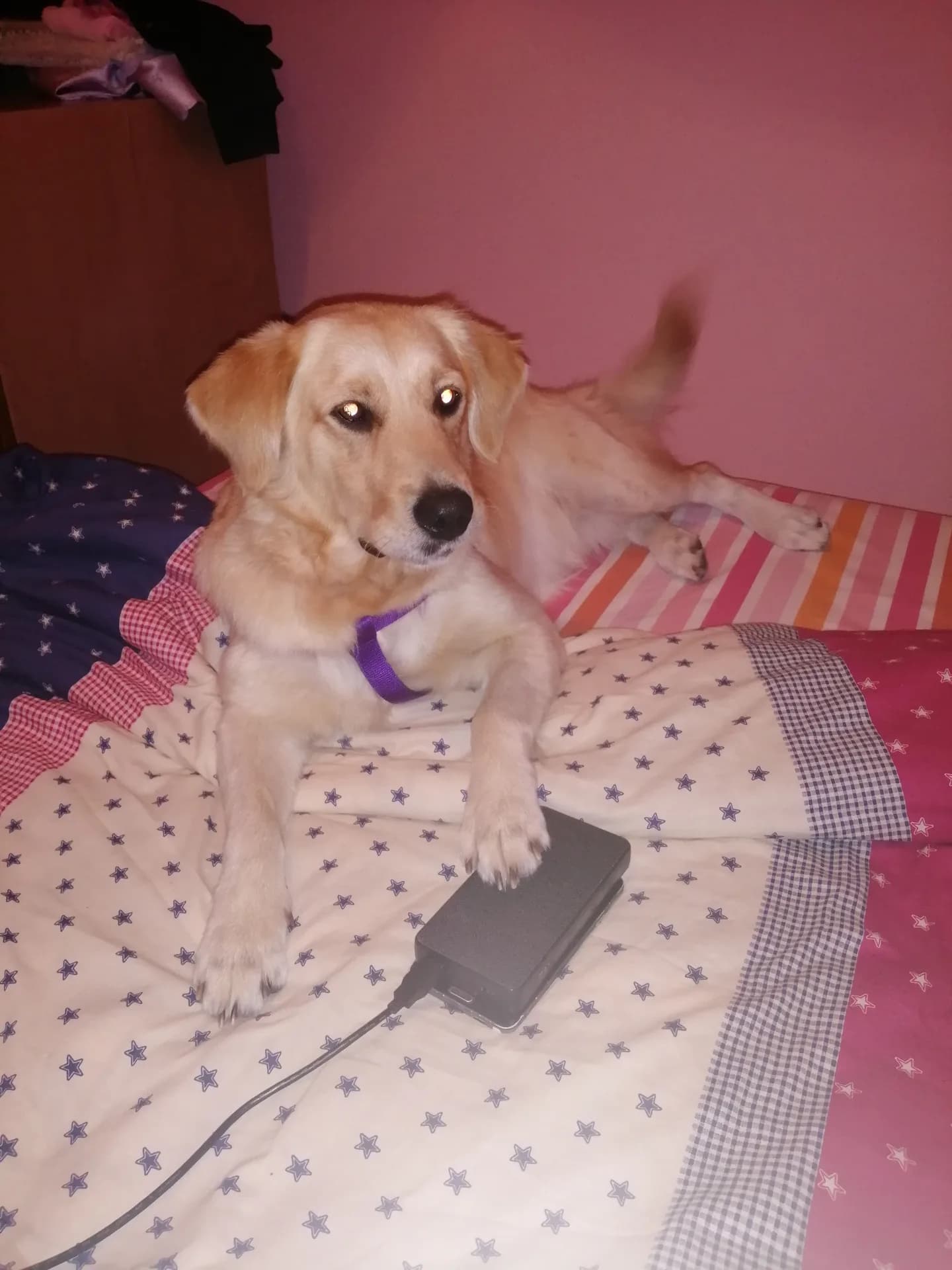 rozi