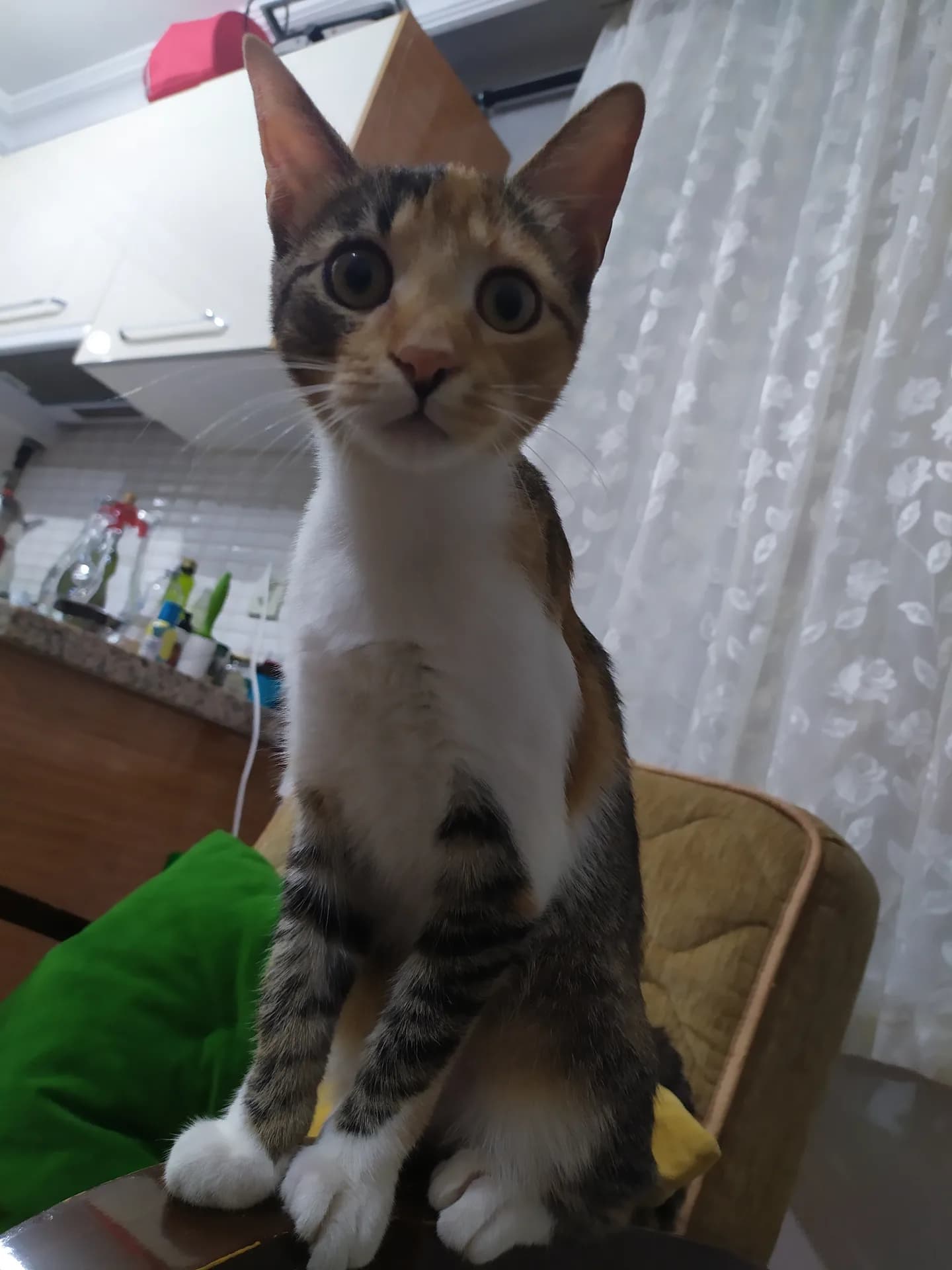 Badem