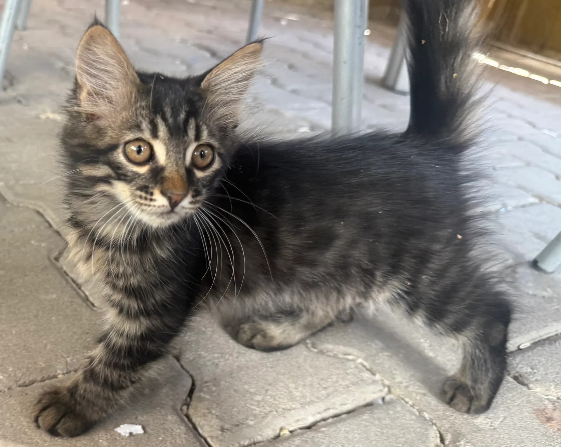 Miniş
