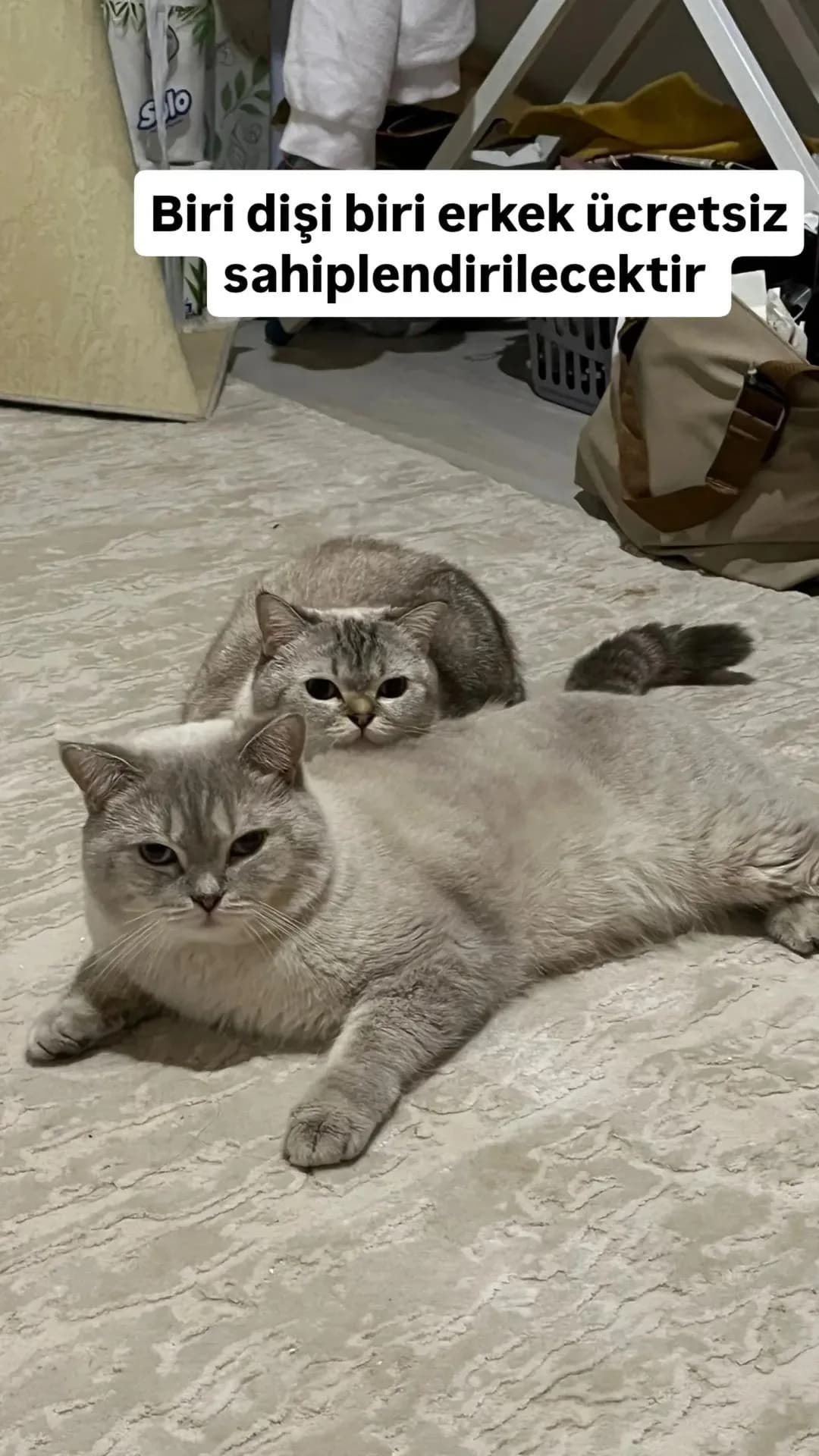_