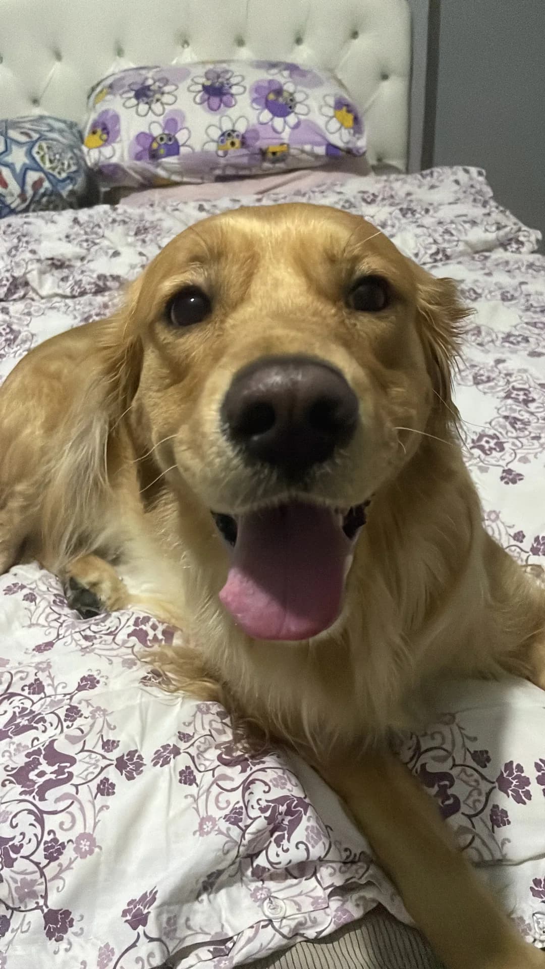 Mia
