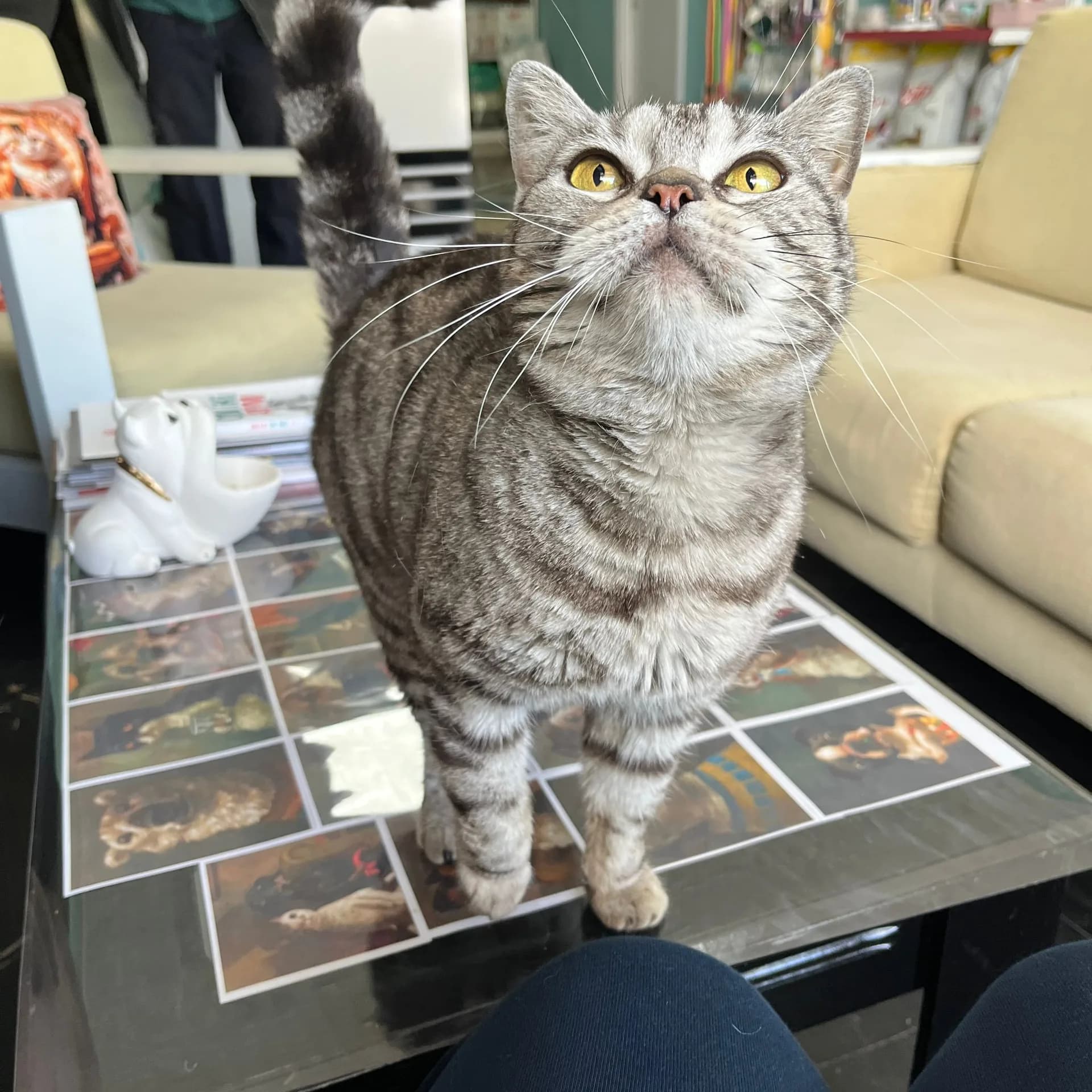 Miya