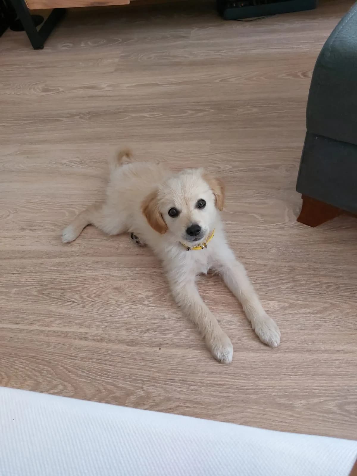 Odin