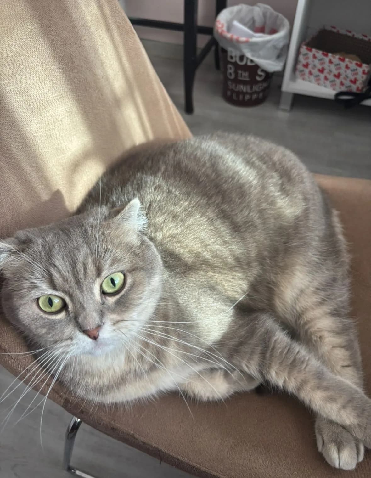 Yumoş
