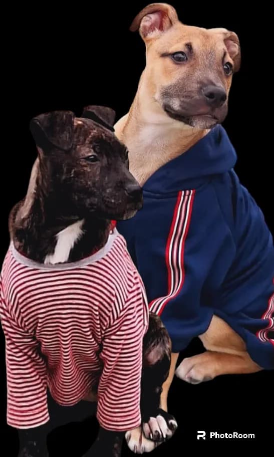 Barbie &amp; Bella