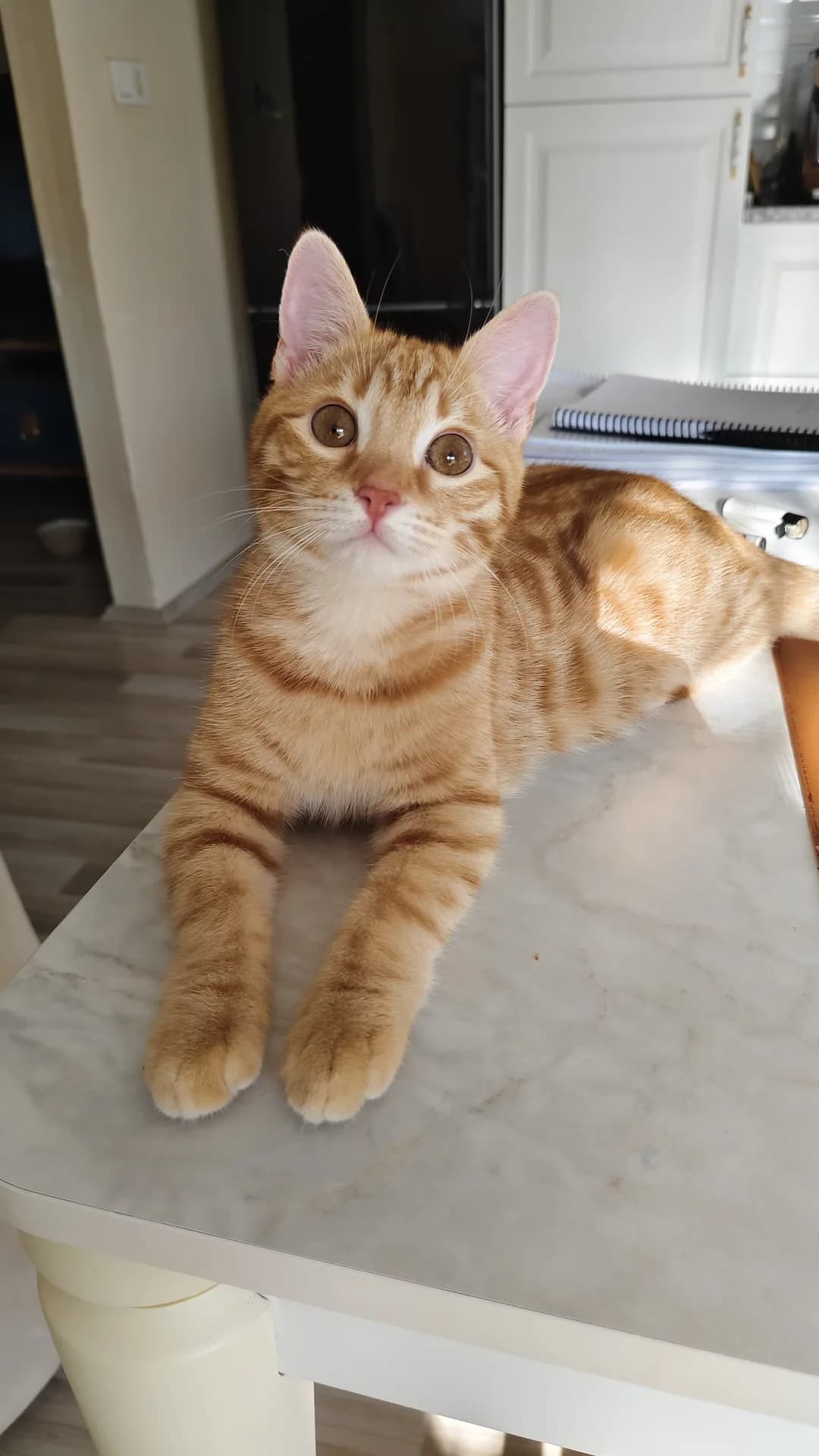 Leo