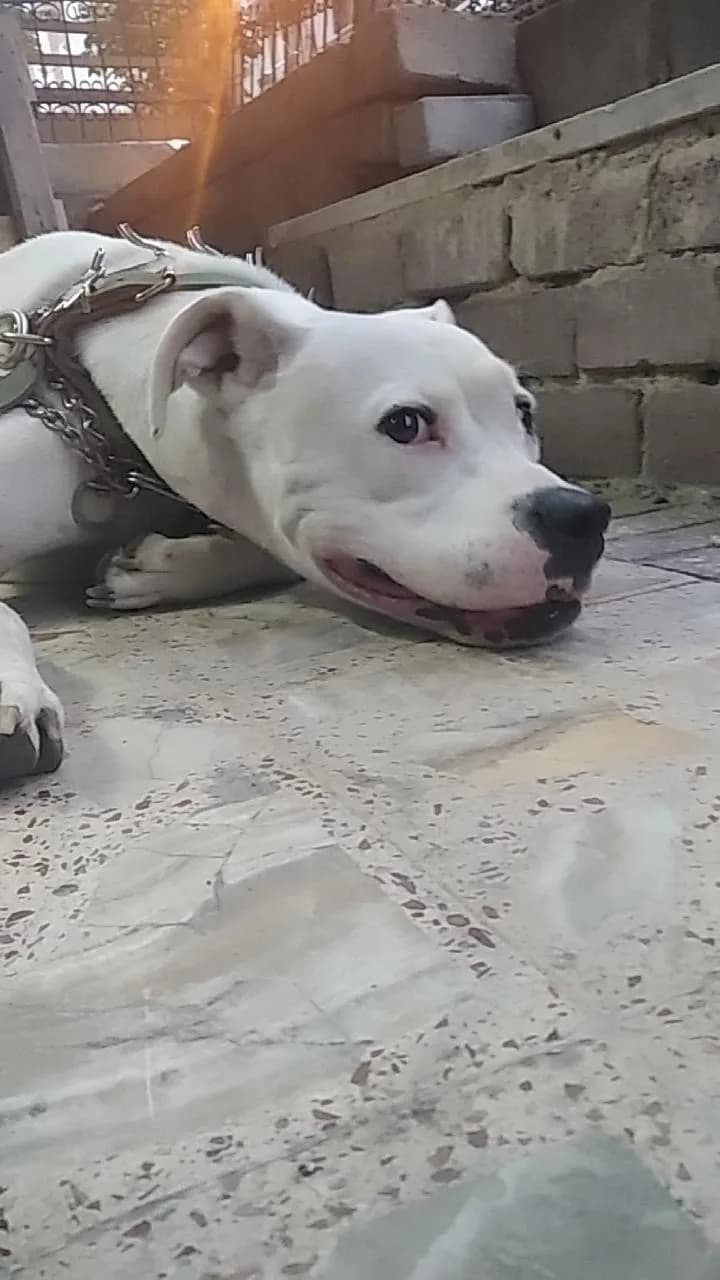 Lucy