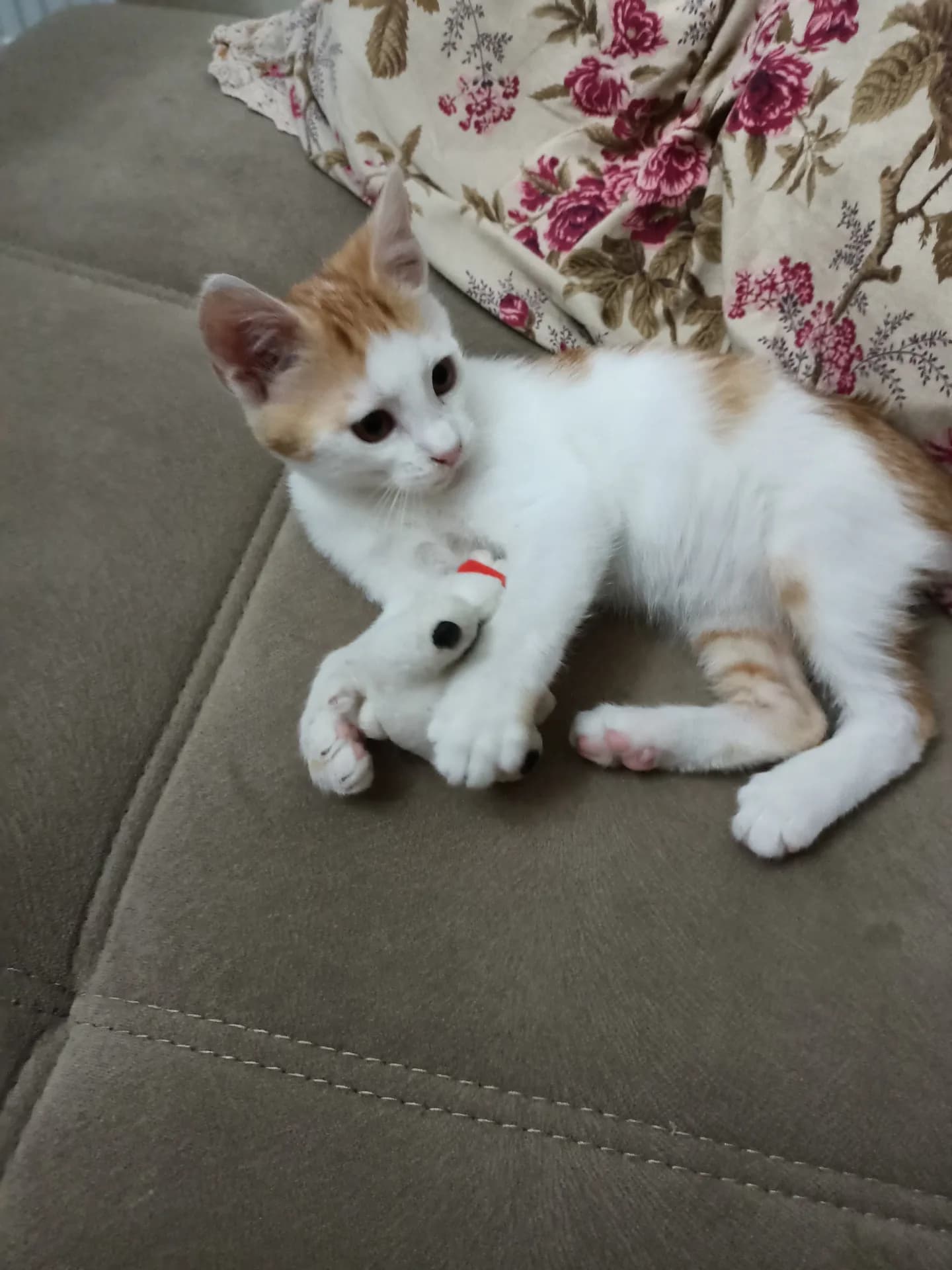 Minik