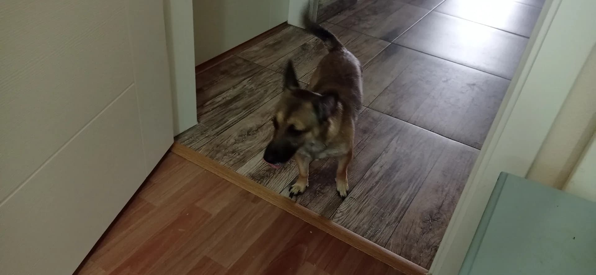 Felix