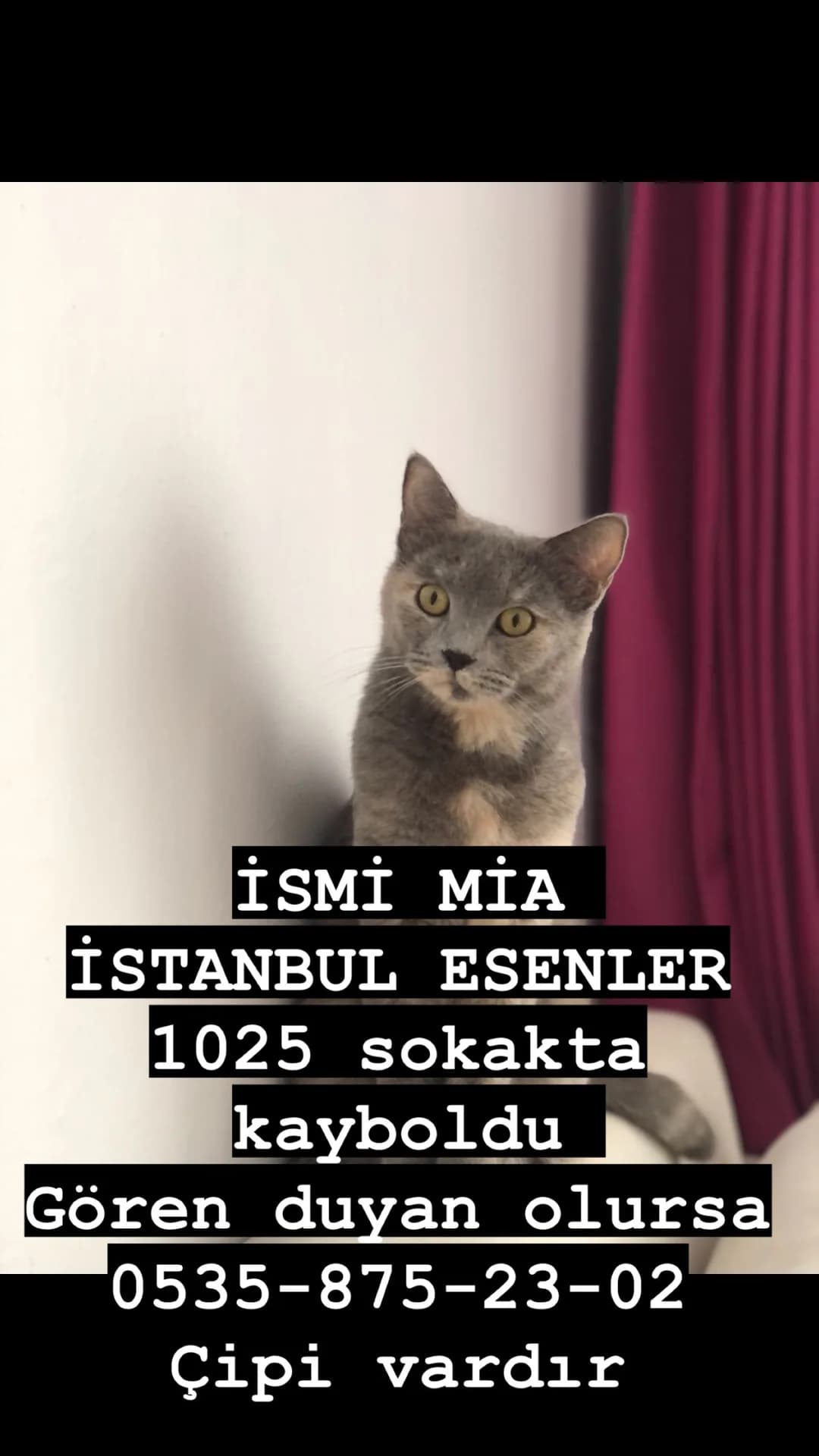 Mia
