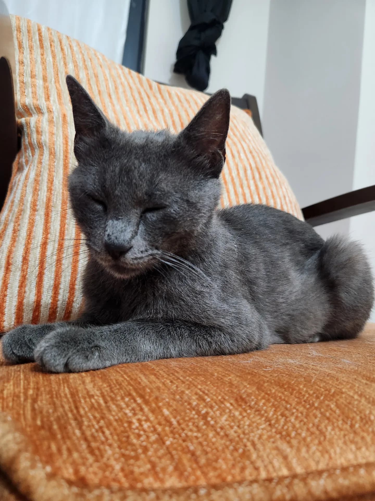 Artemis