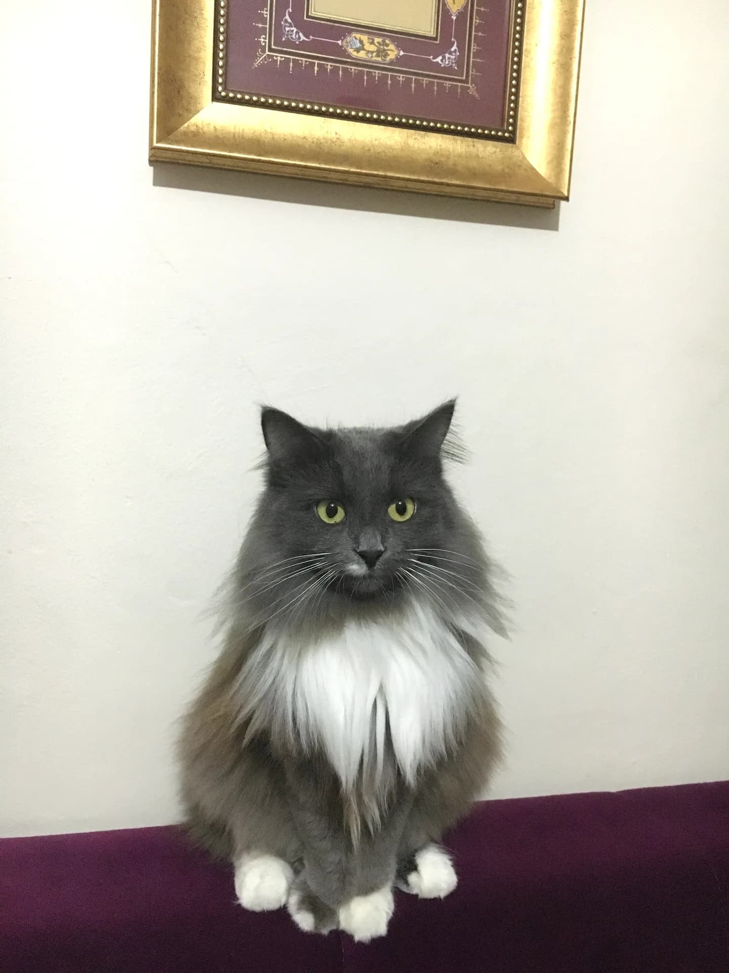 Minik
