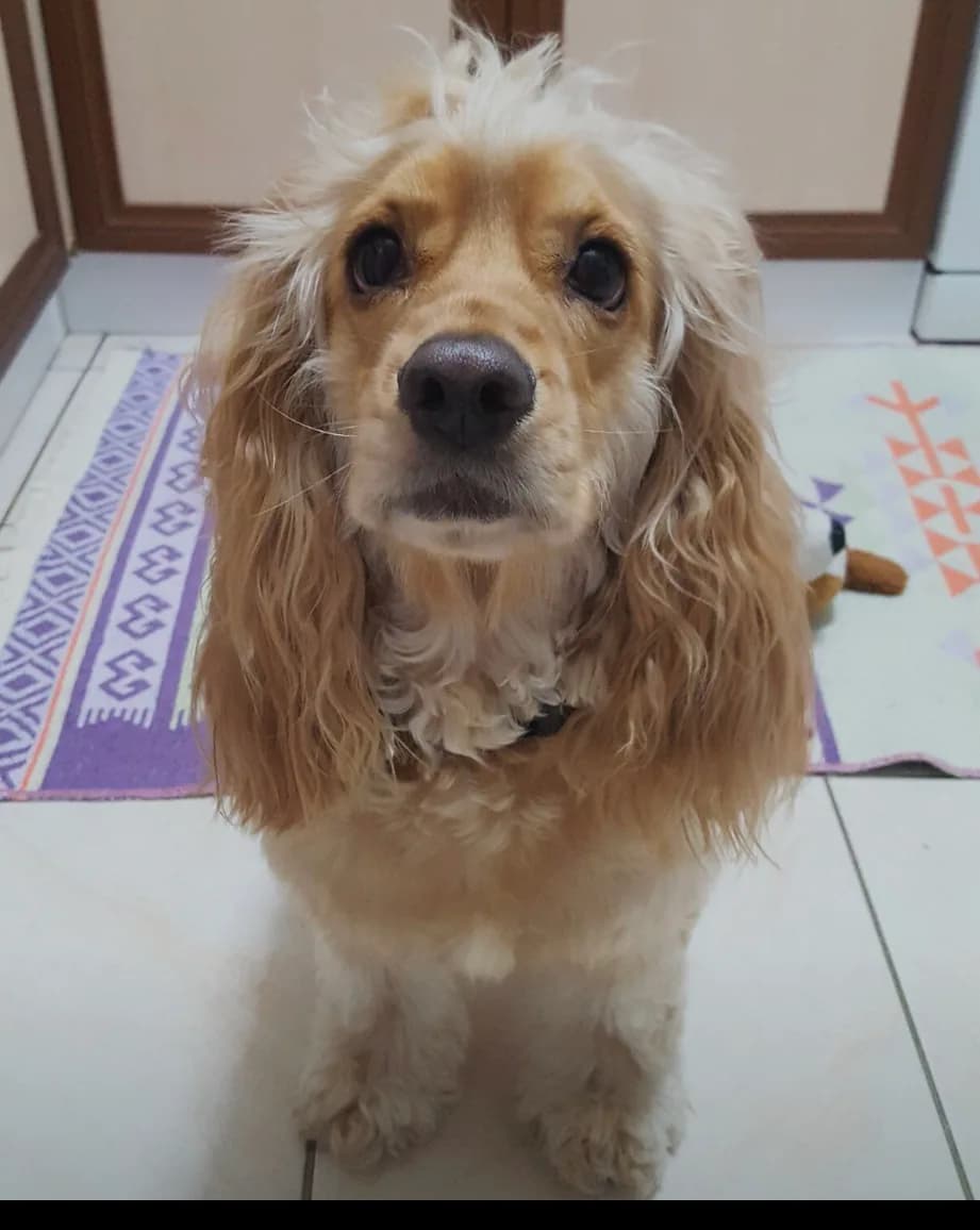Mia