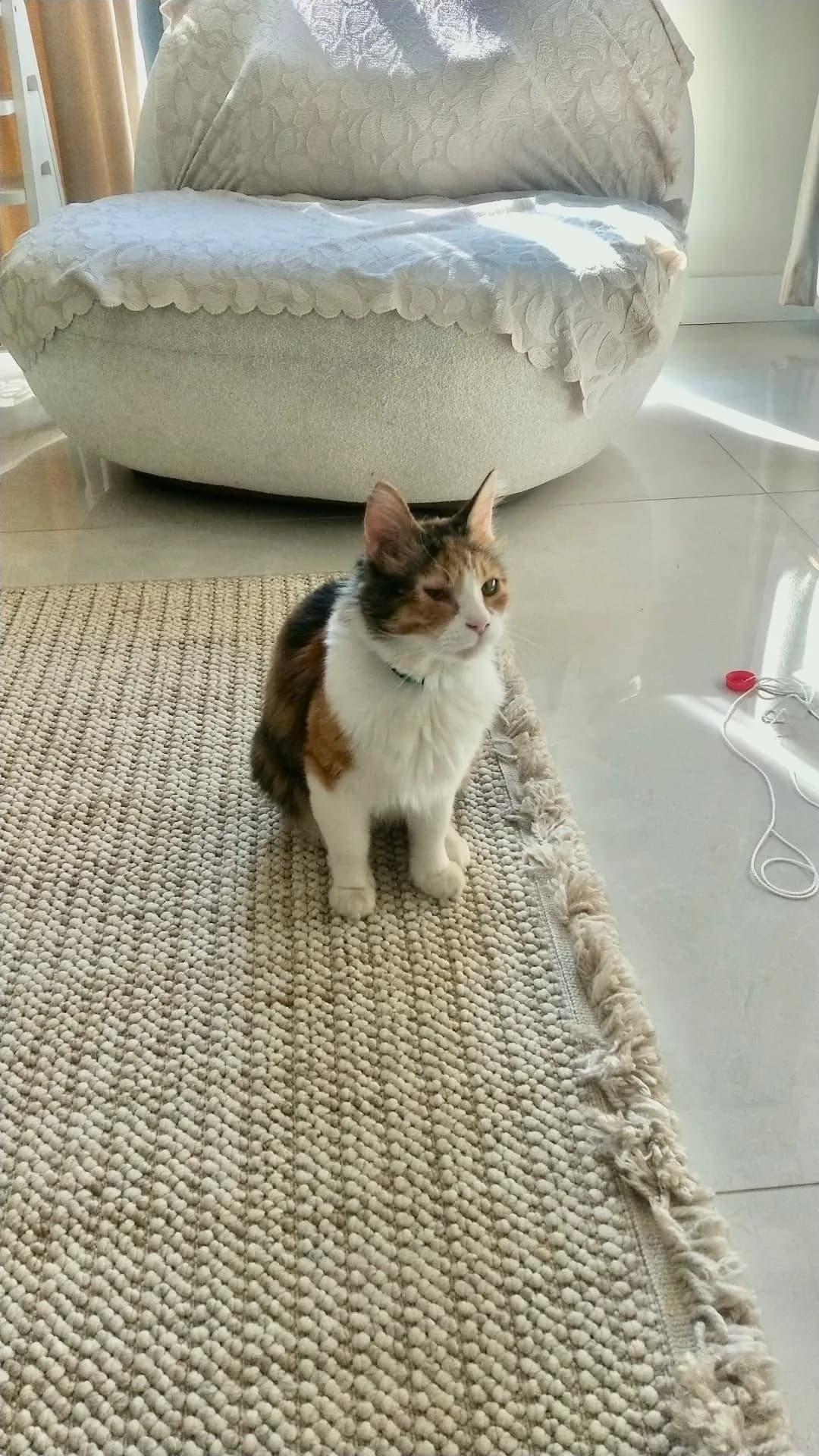 Tarçın