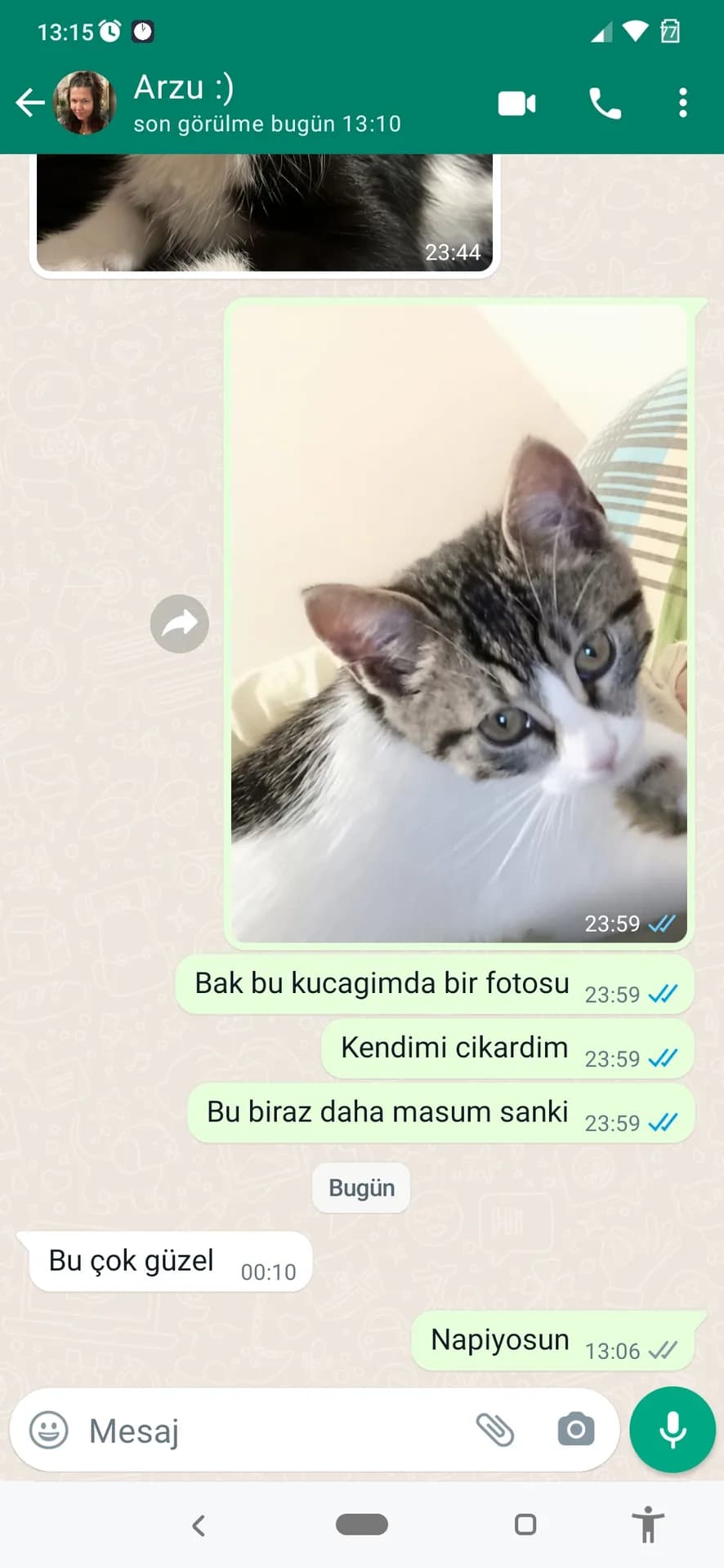 İsot