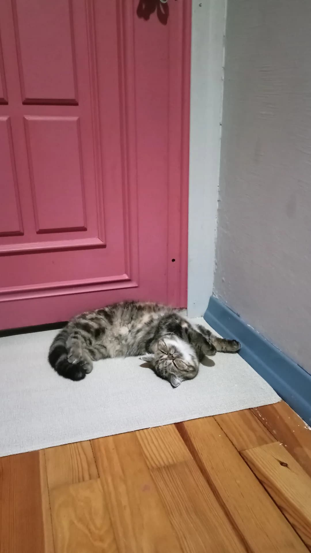 Zuzu