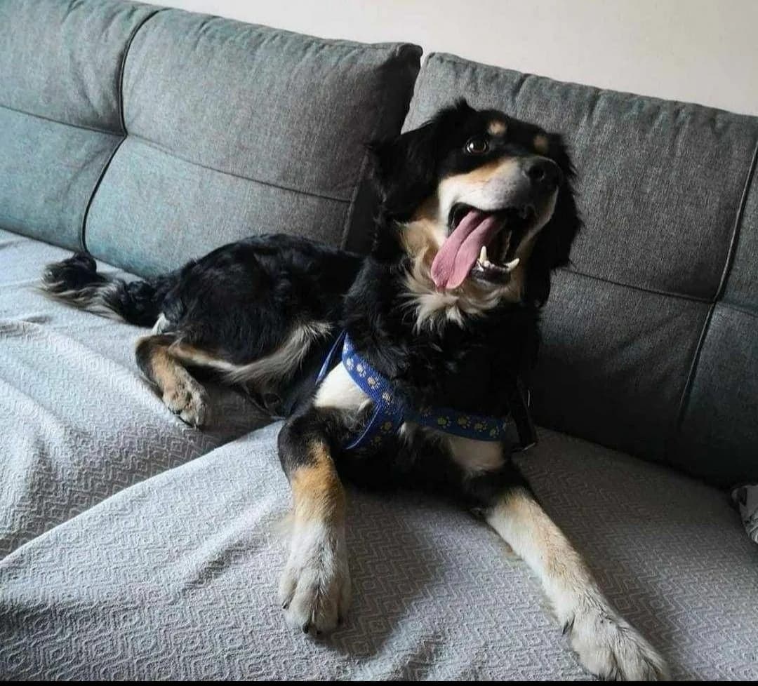 Max