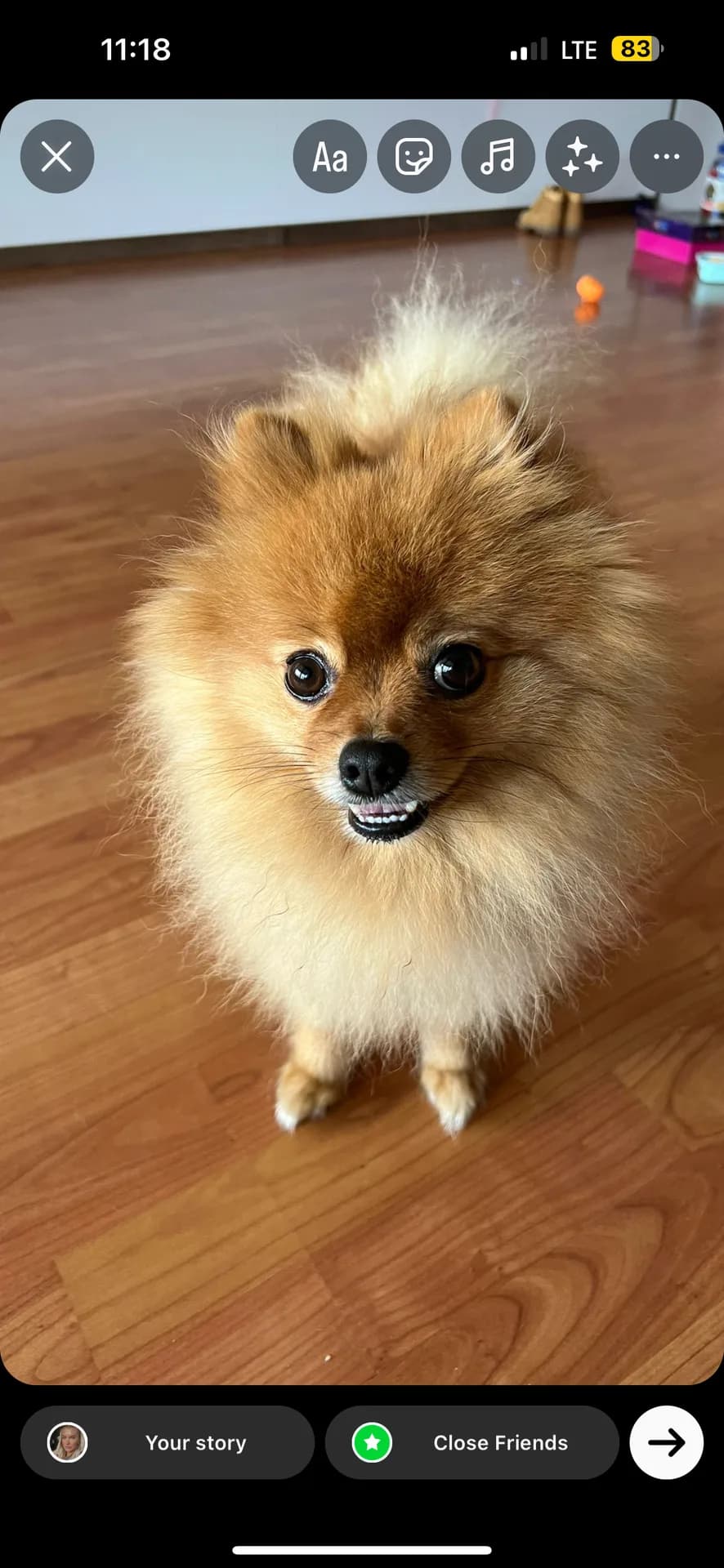 Cookie