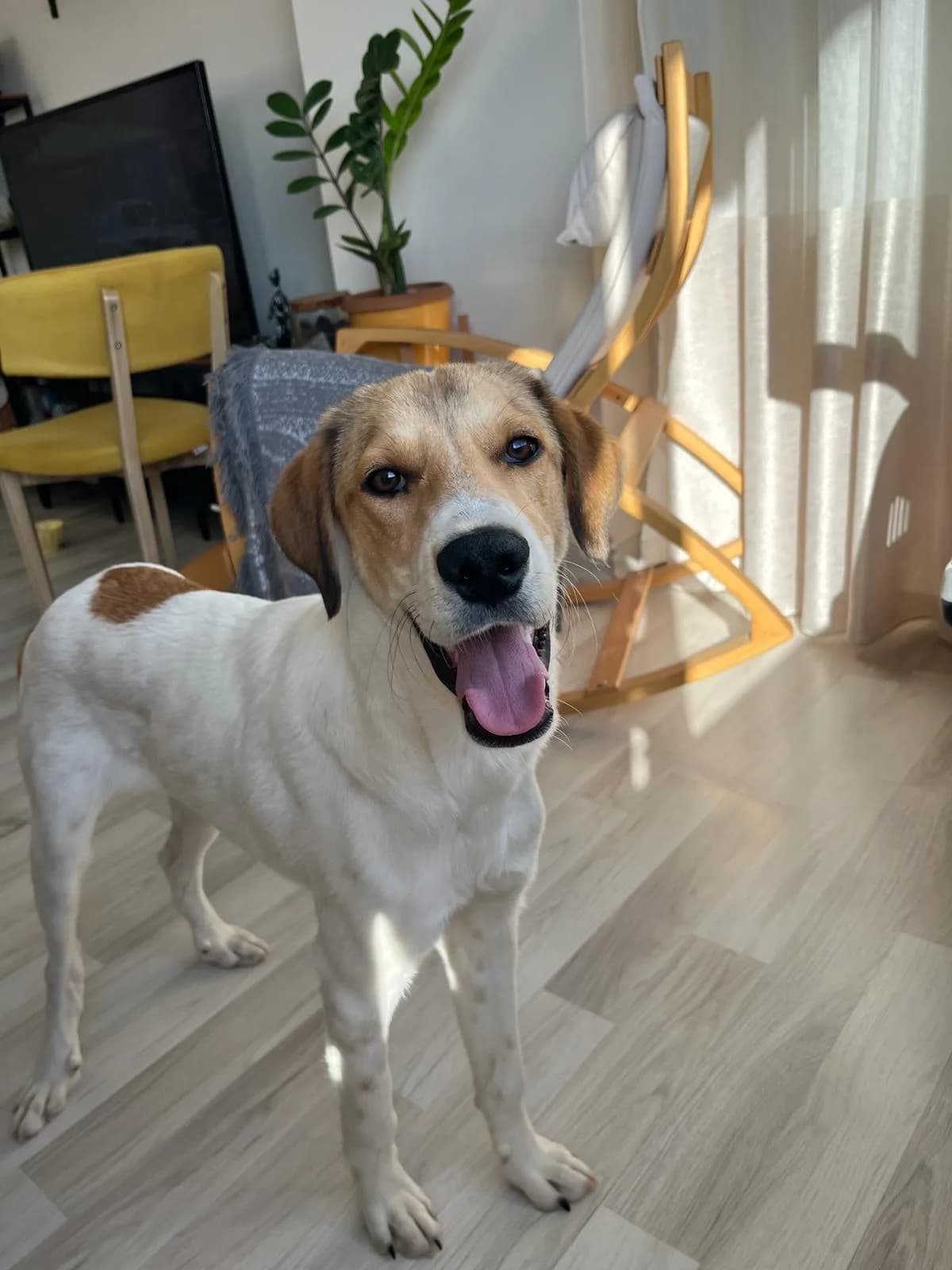 Carlos