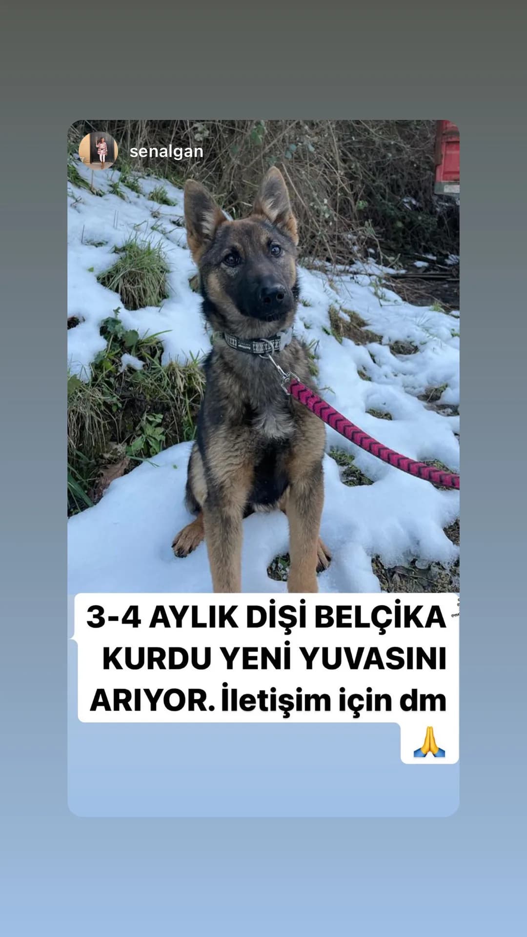 adı yok