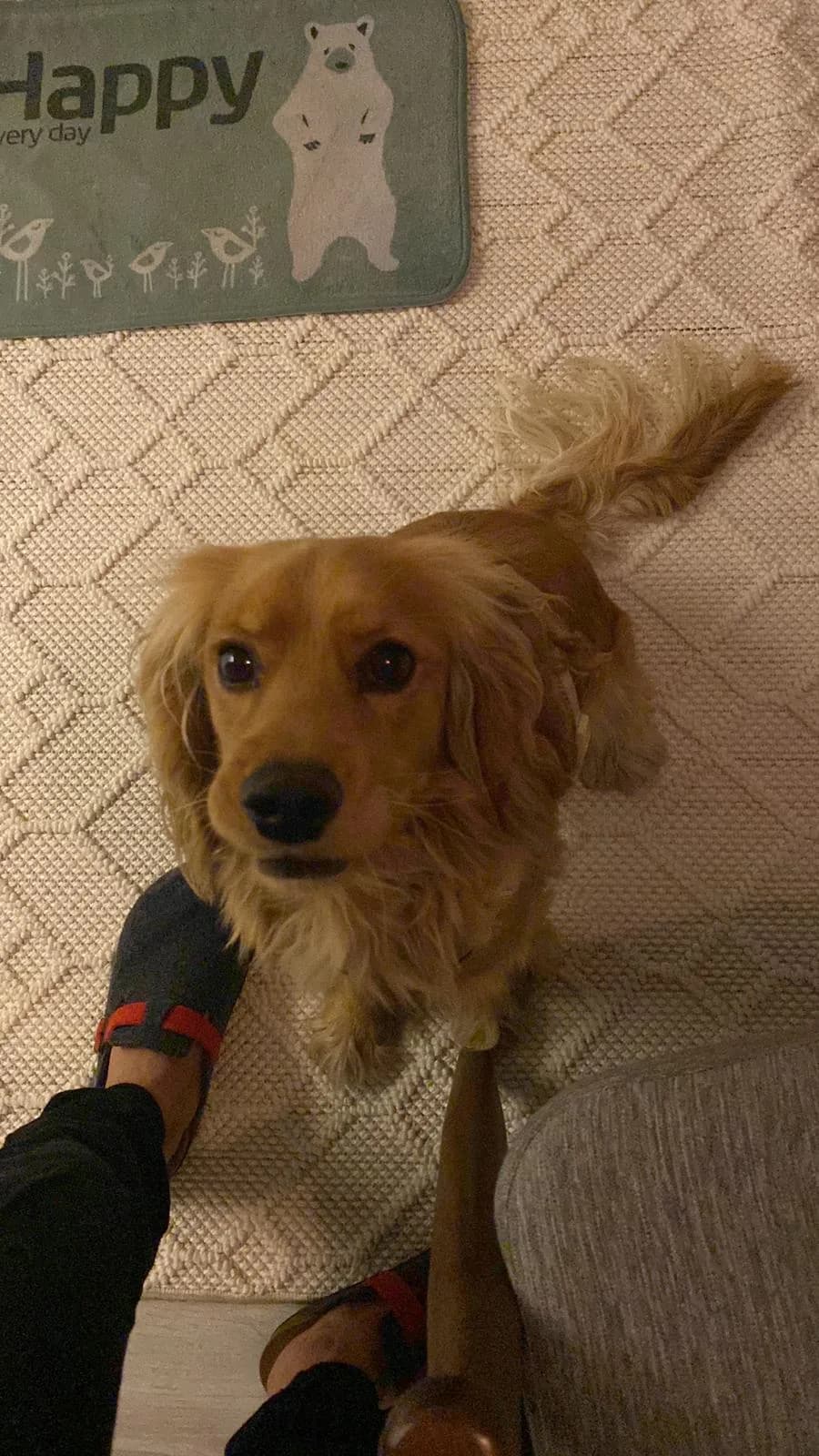 Joni