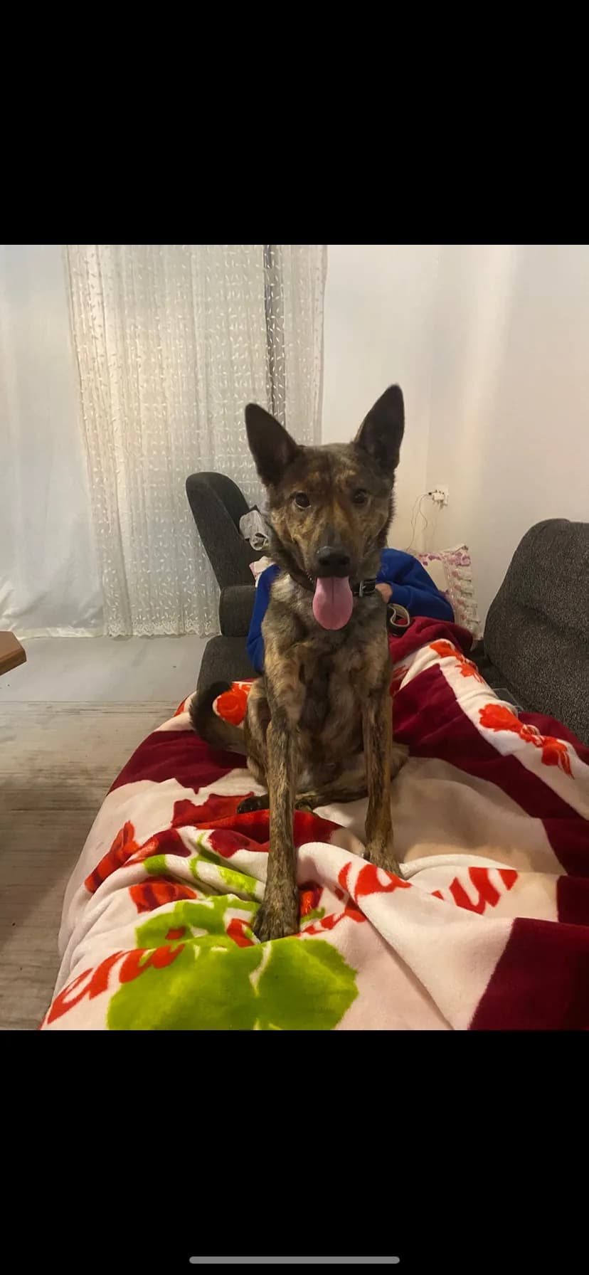 Narko