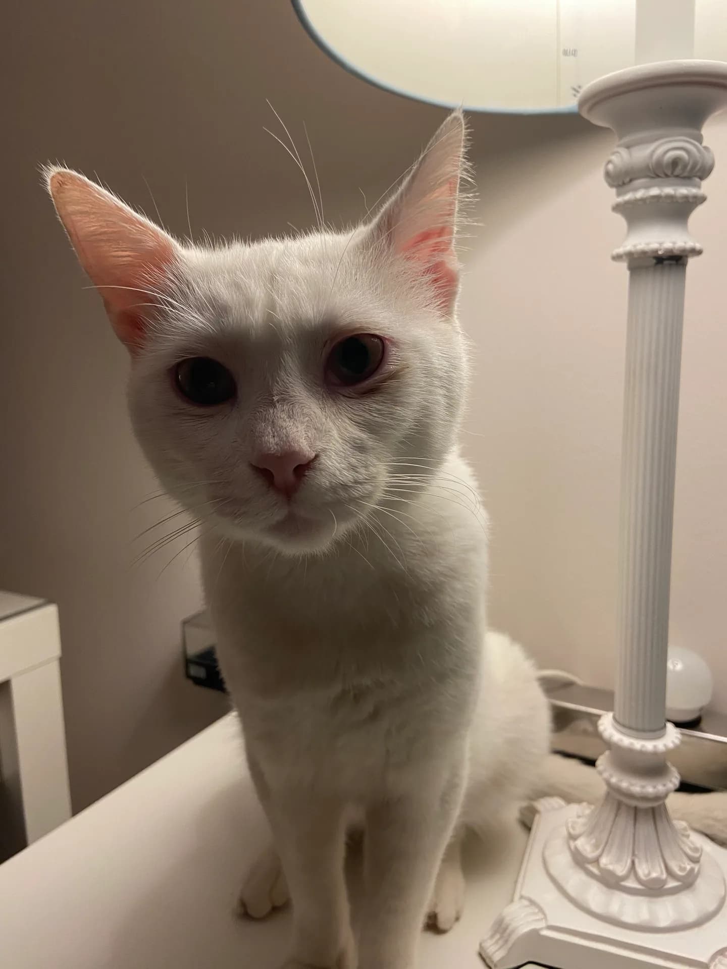 Yuki