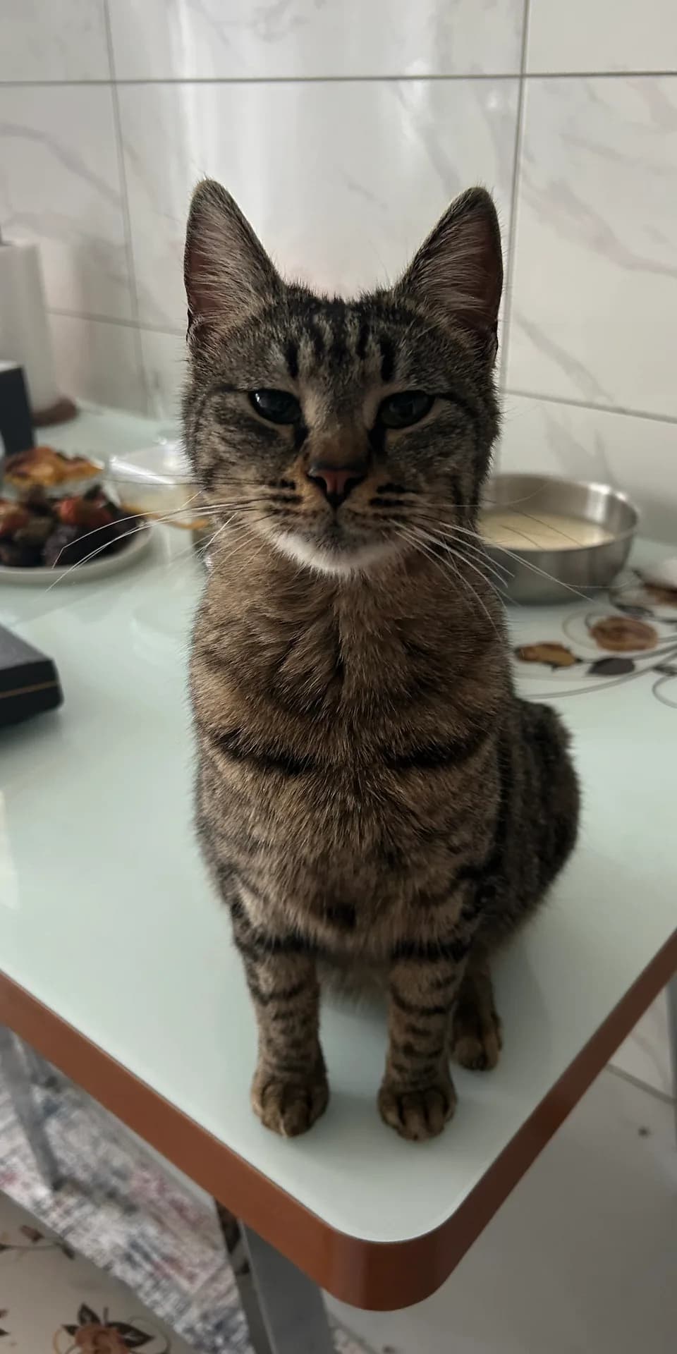 Pansi