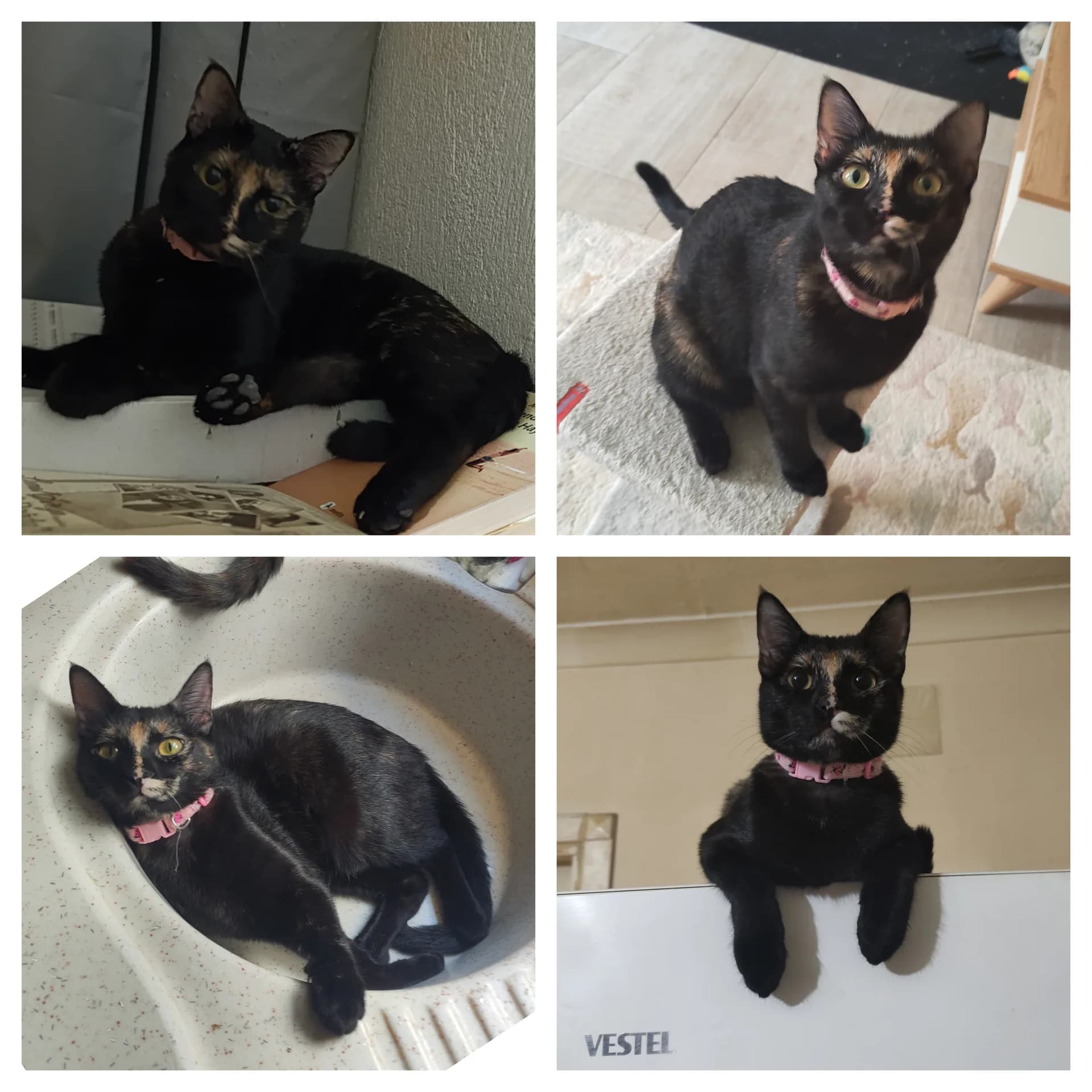 Hera