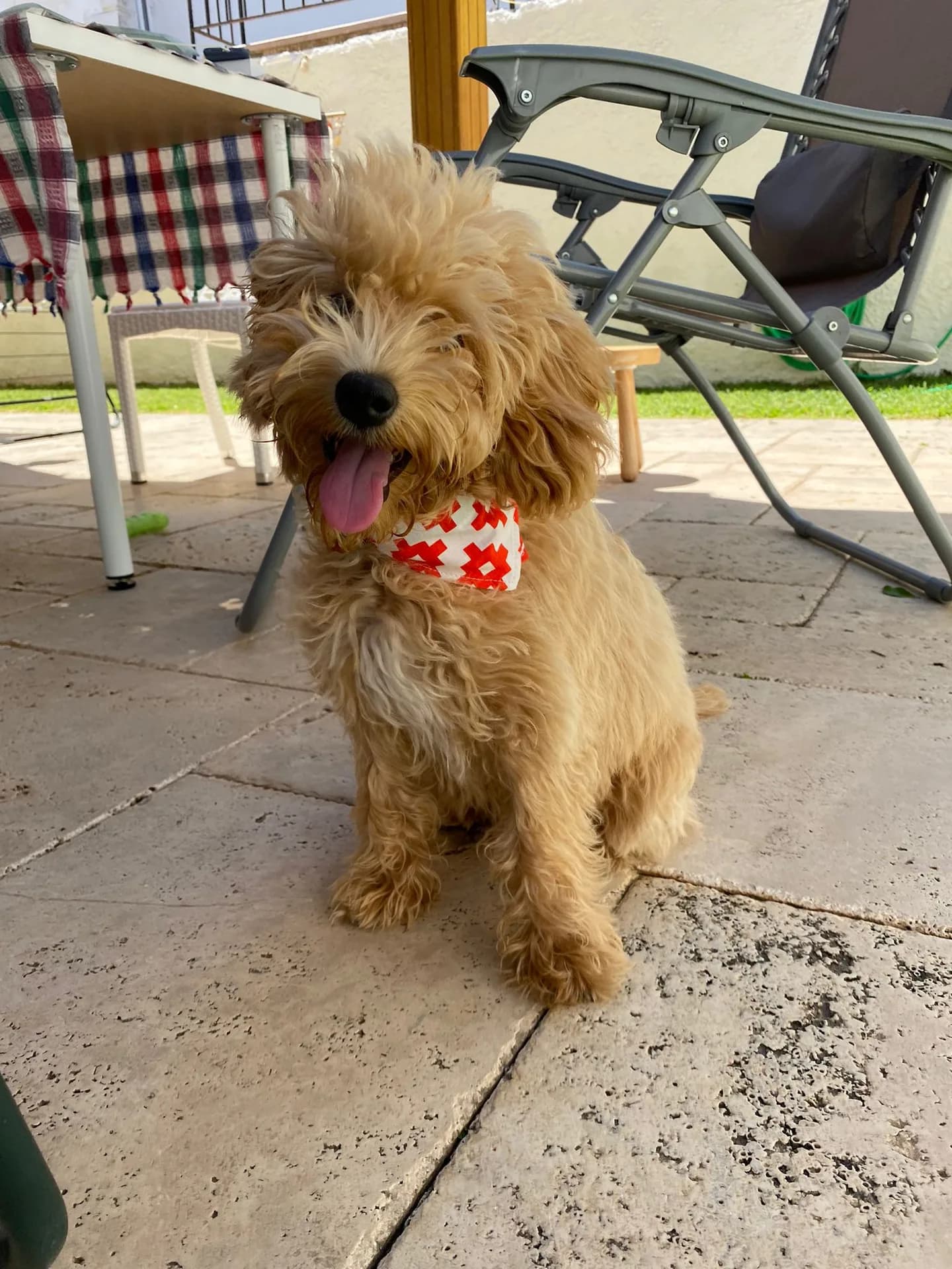 Toffee