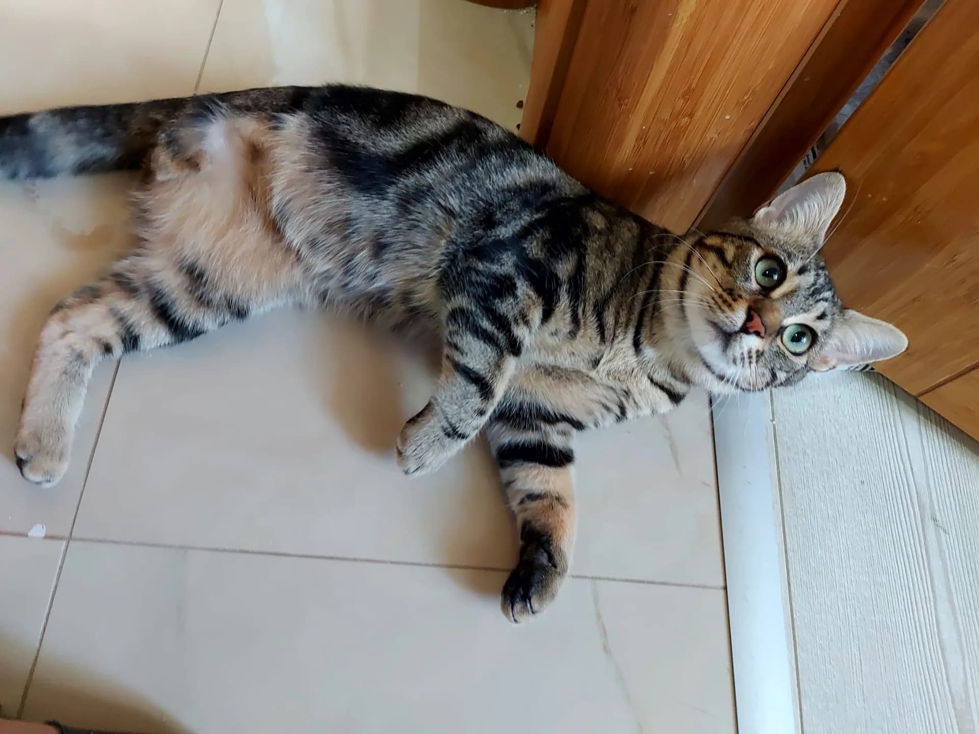 BONCUK