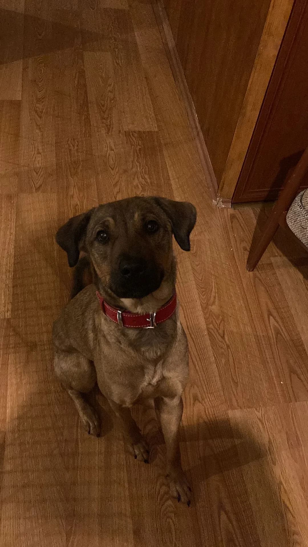 Luna