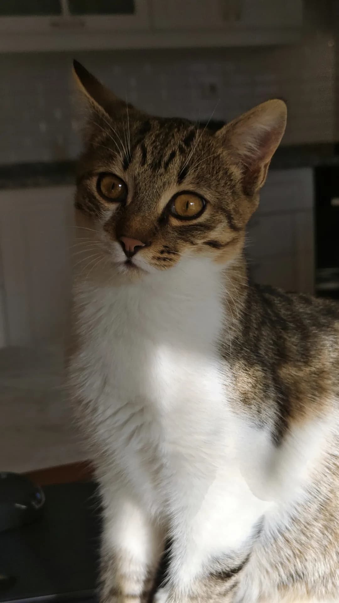Yamaç