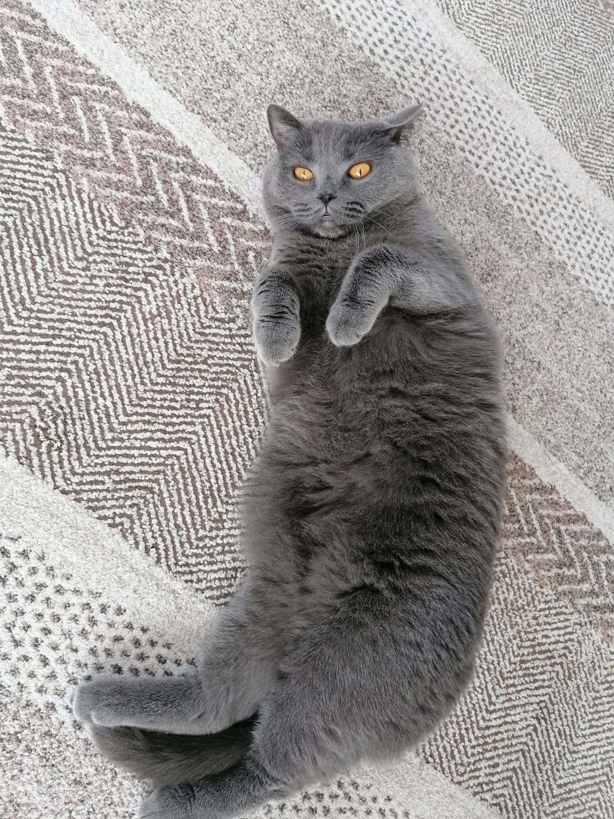 Yağmur
