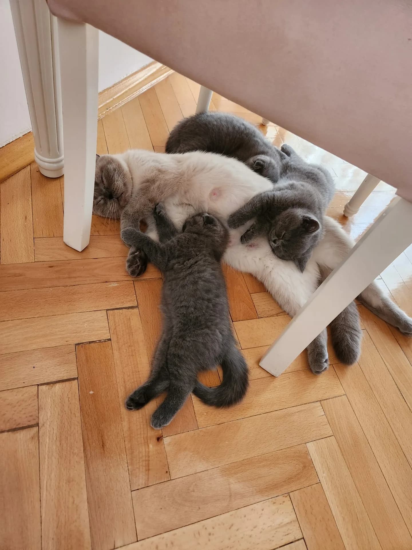 …